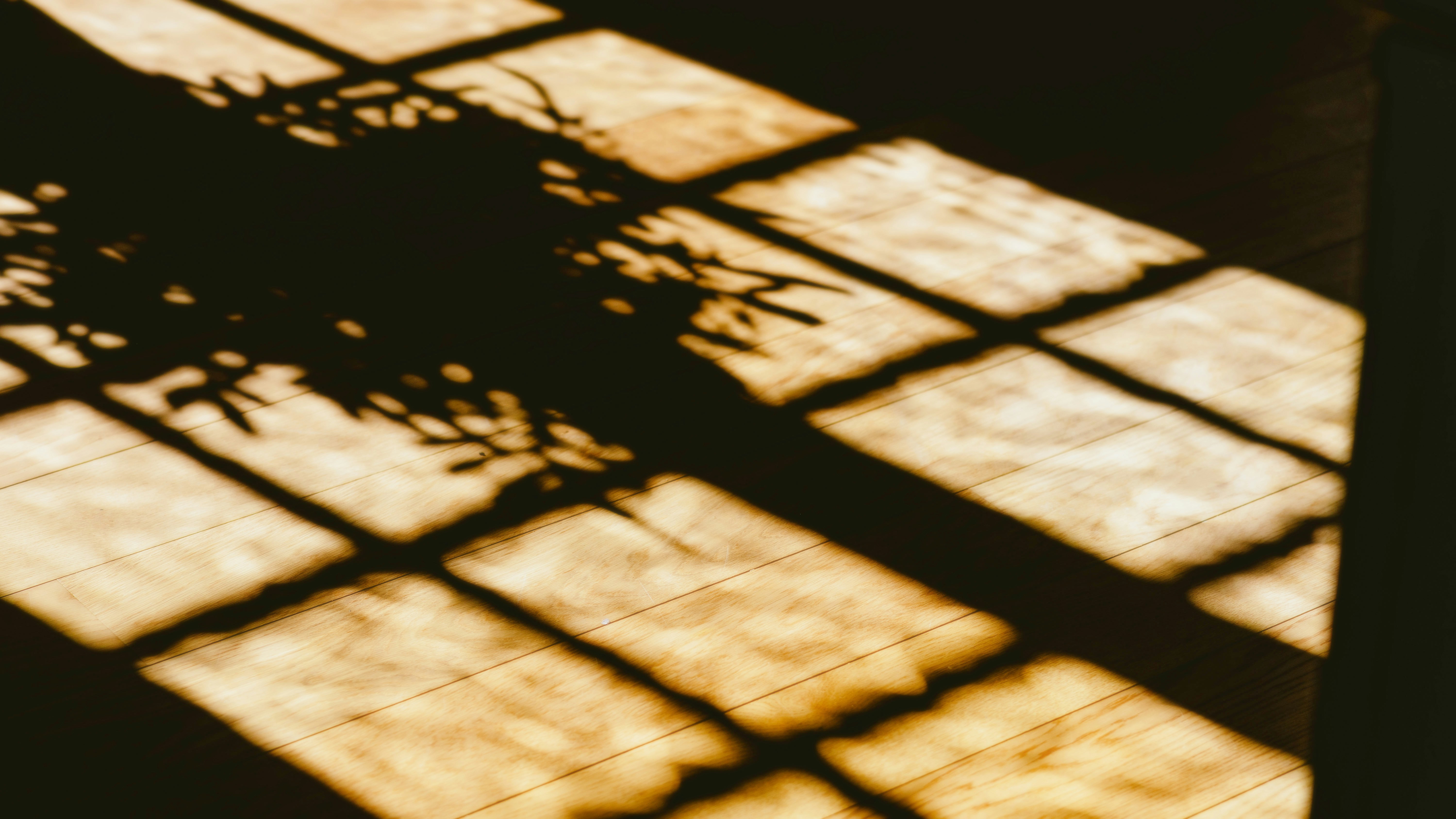 Photo by alingavriliuc