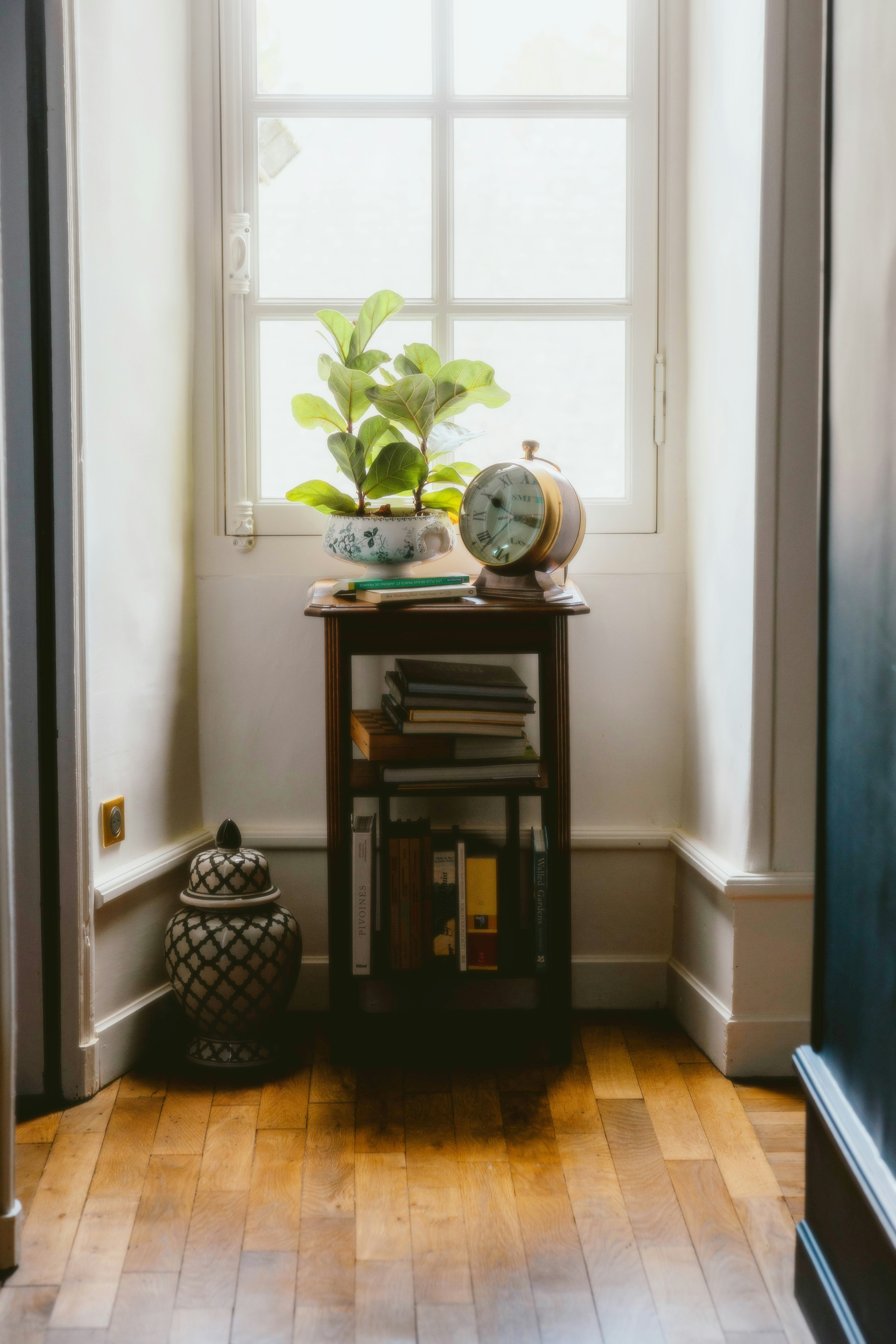 Photo by alingavriliuc