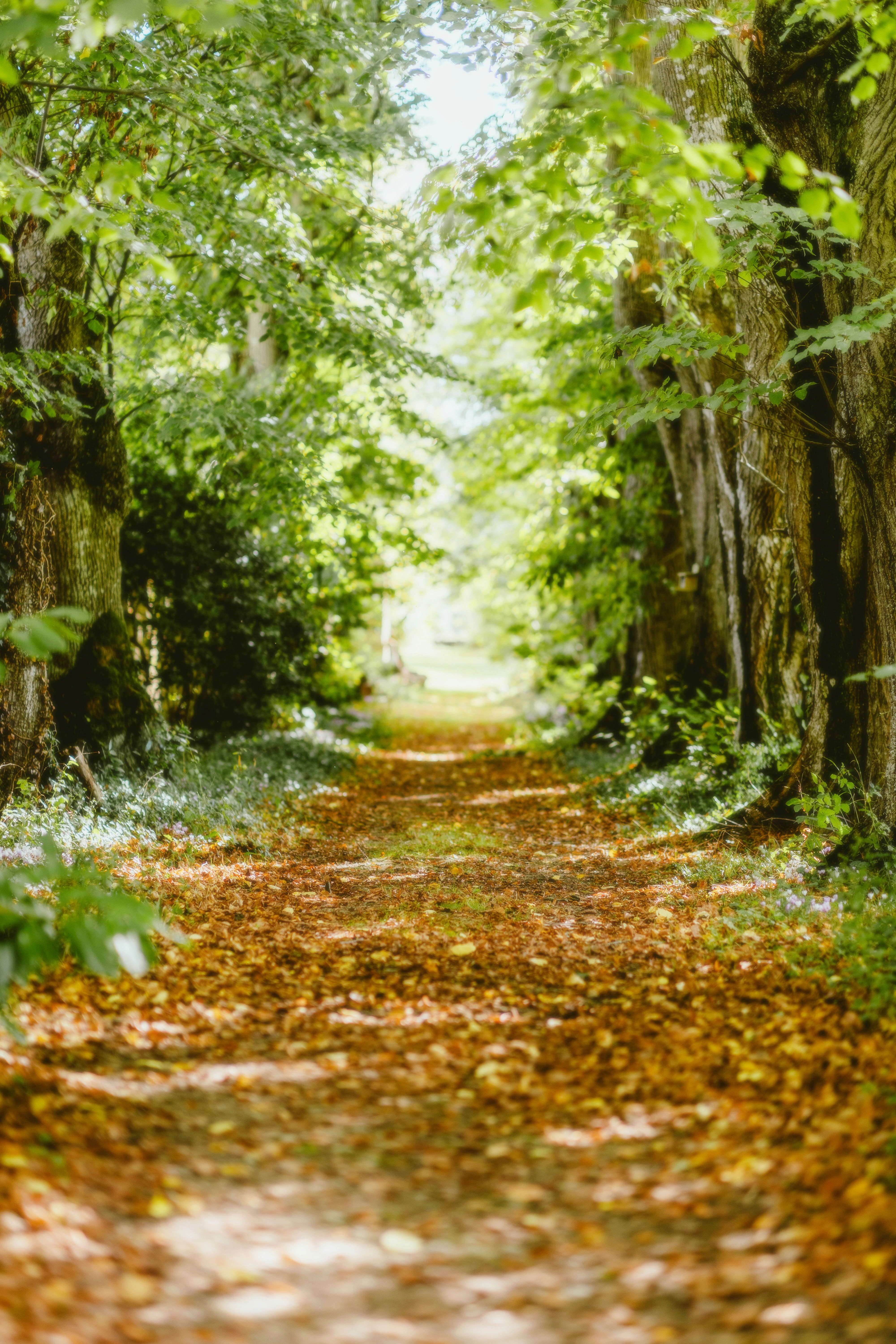 Photo by alingavriliuc