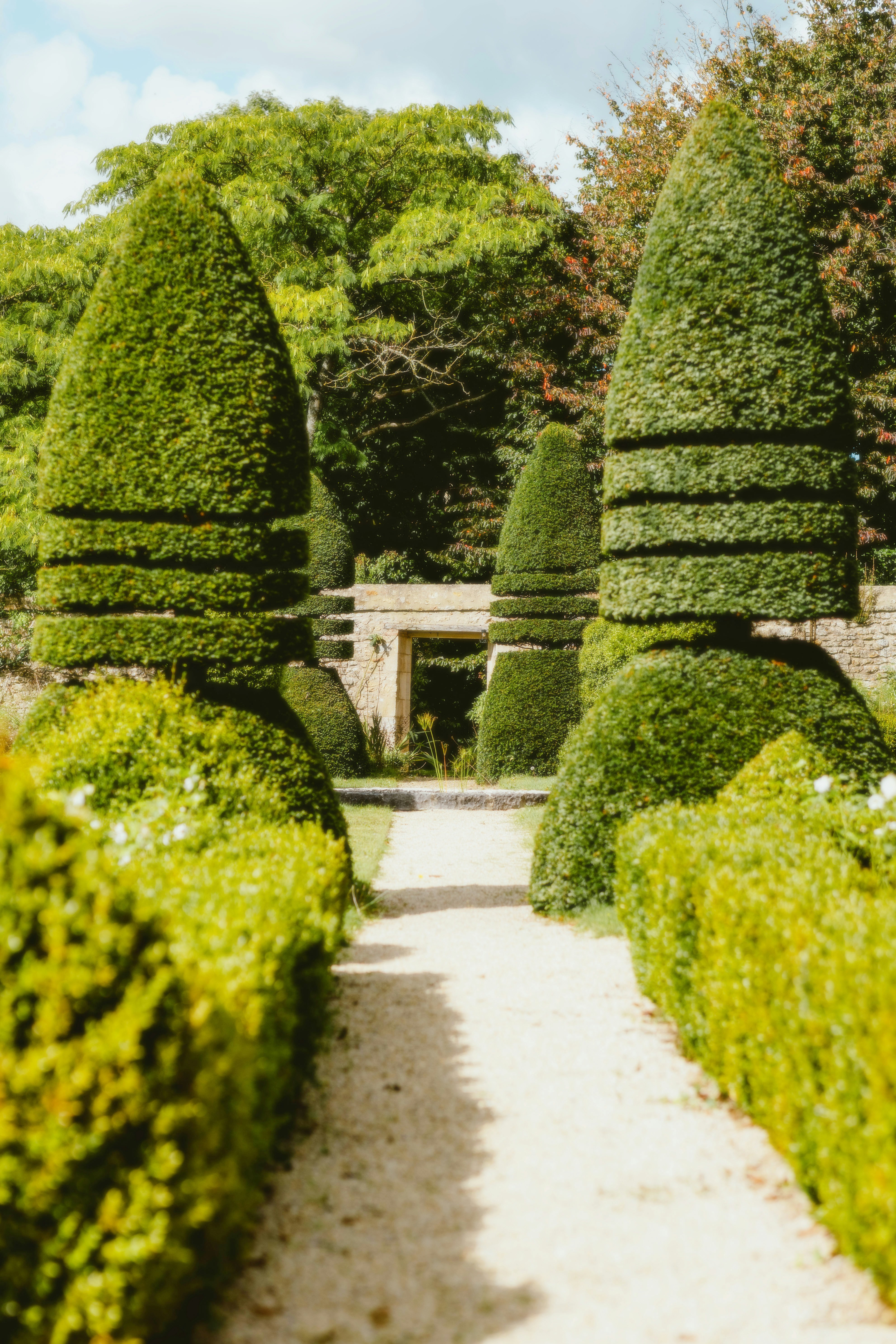 Photo by alingavriliuc