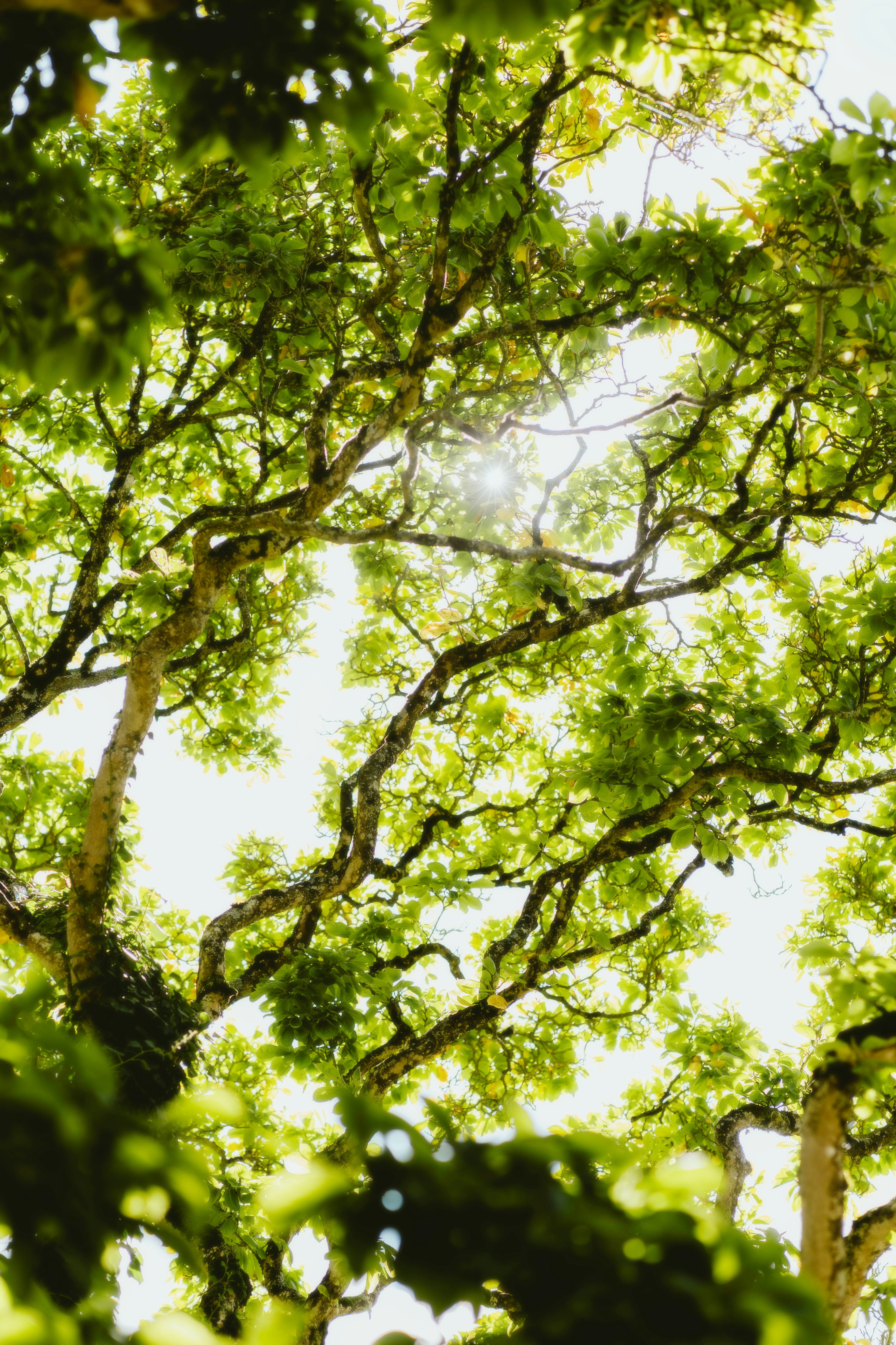 Photo by alingavriliuc