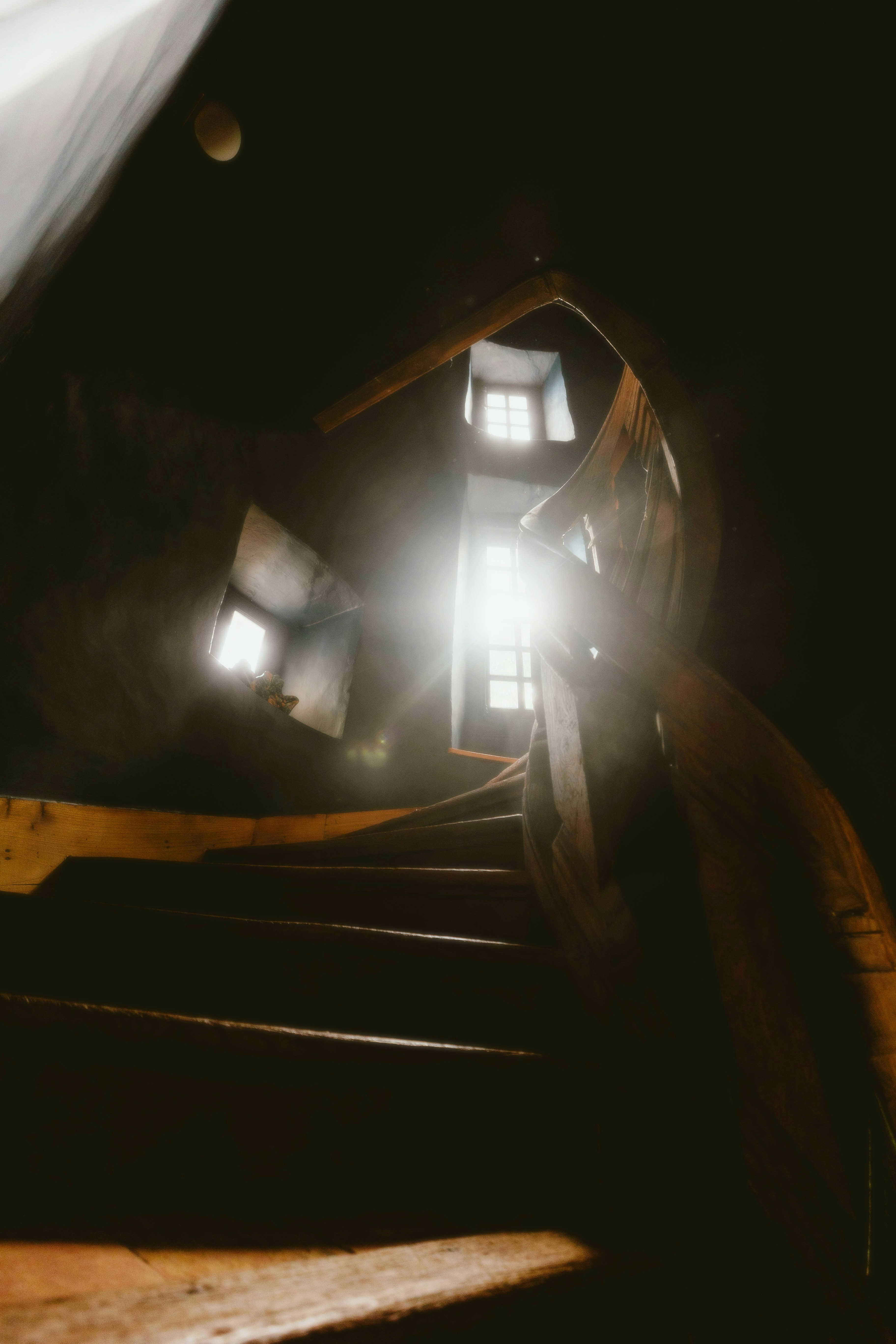 Photo by alingavriliuc