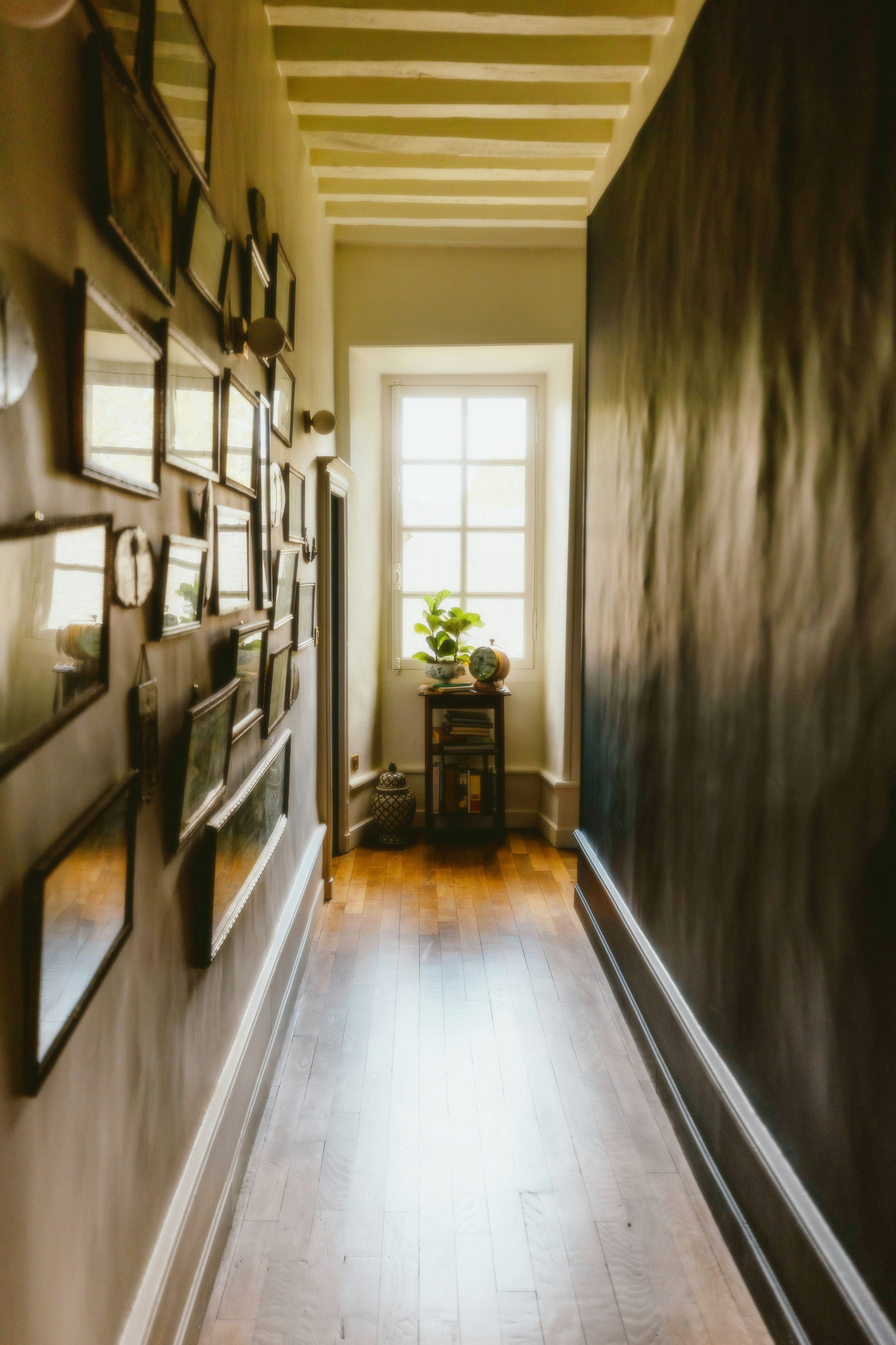 Photo by alingavriliuc