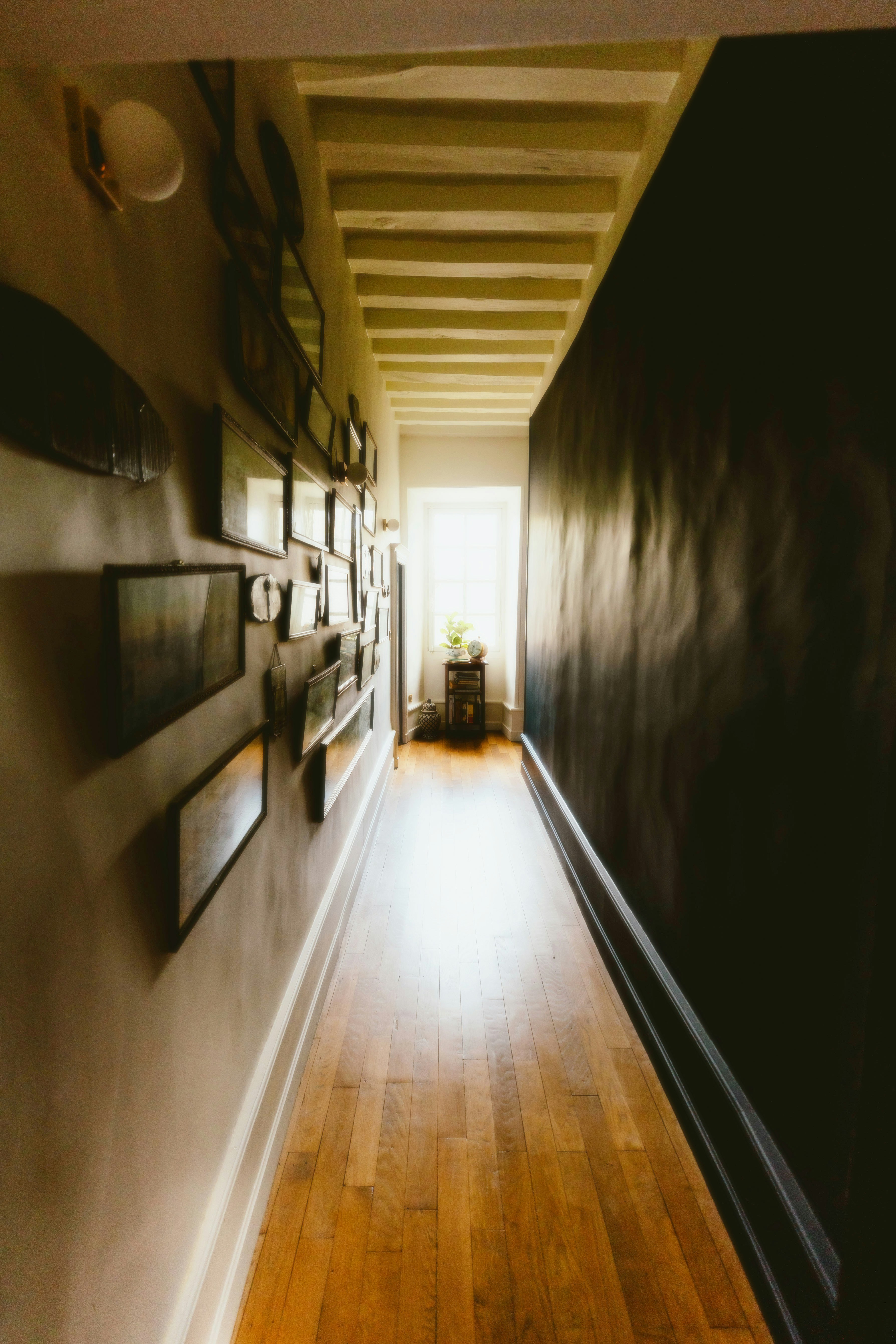 Photo by alingavriliuc