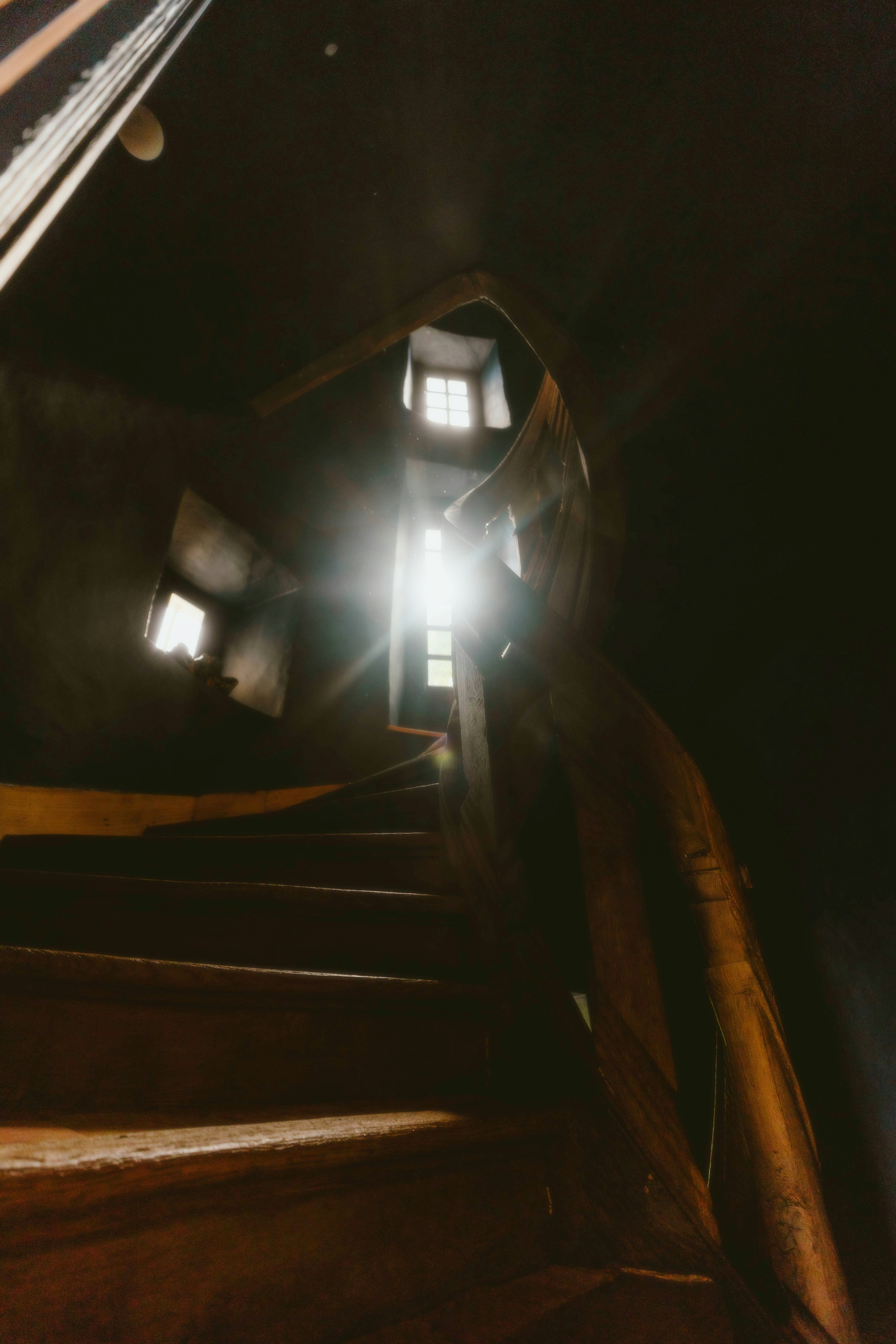 Photo by alingavriliuc