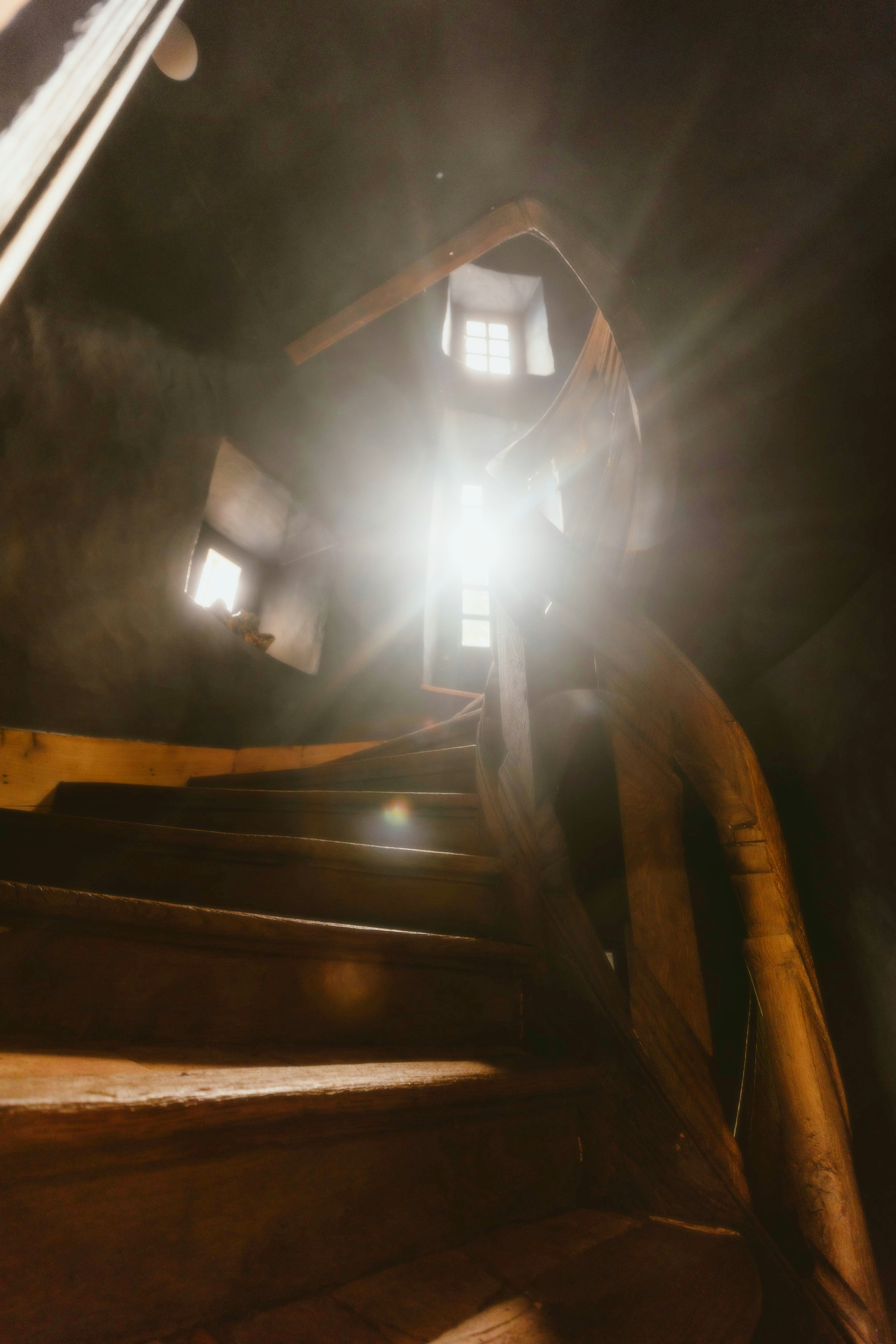 Photo by alingavriliuc