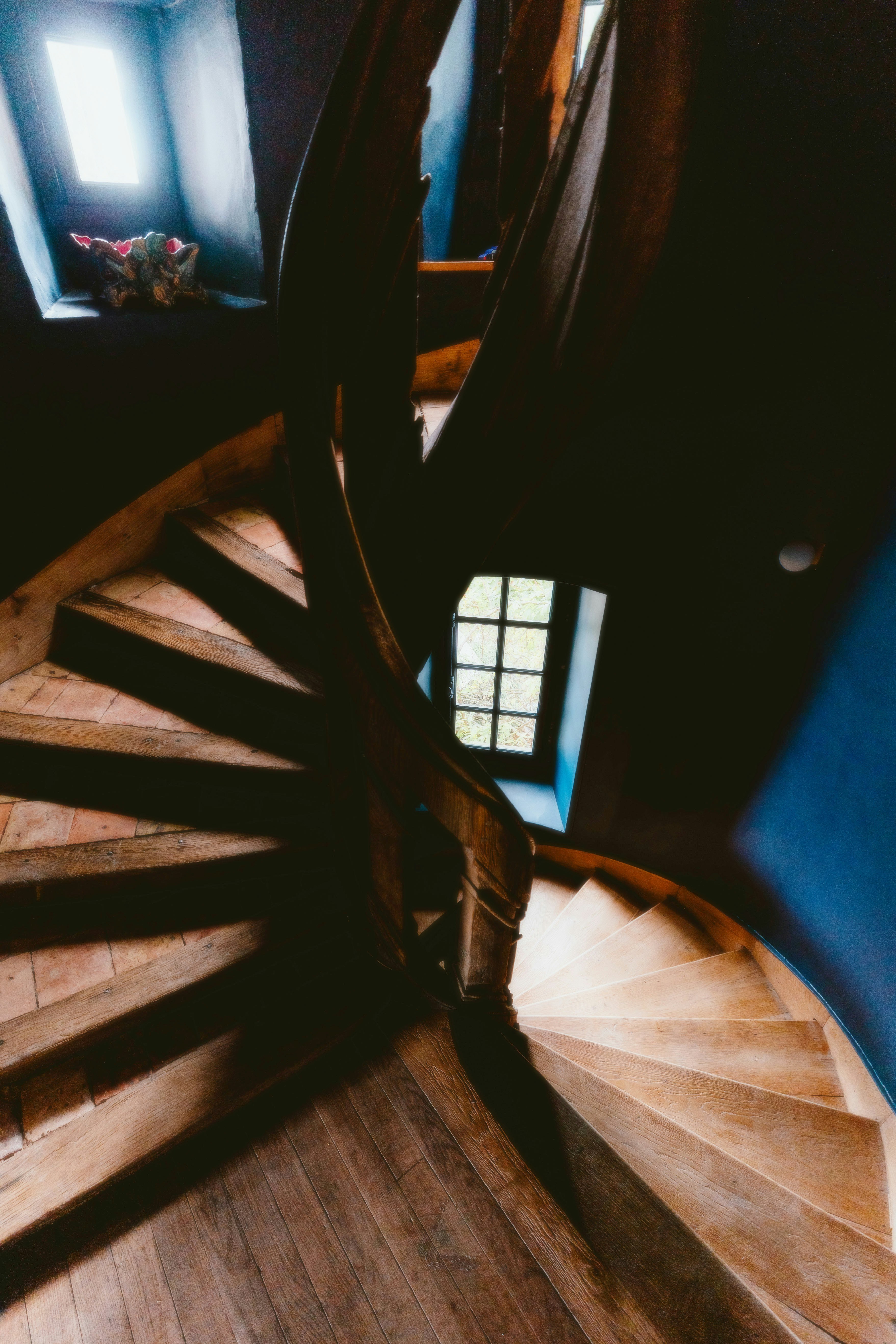 Photo by alingavriliuc