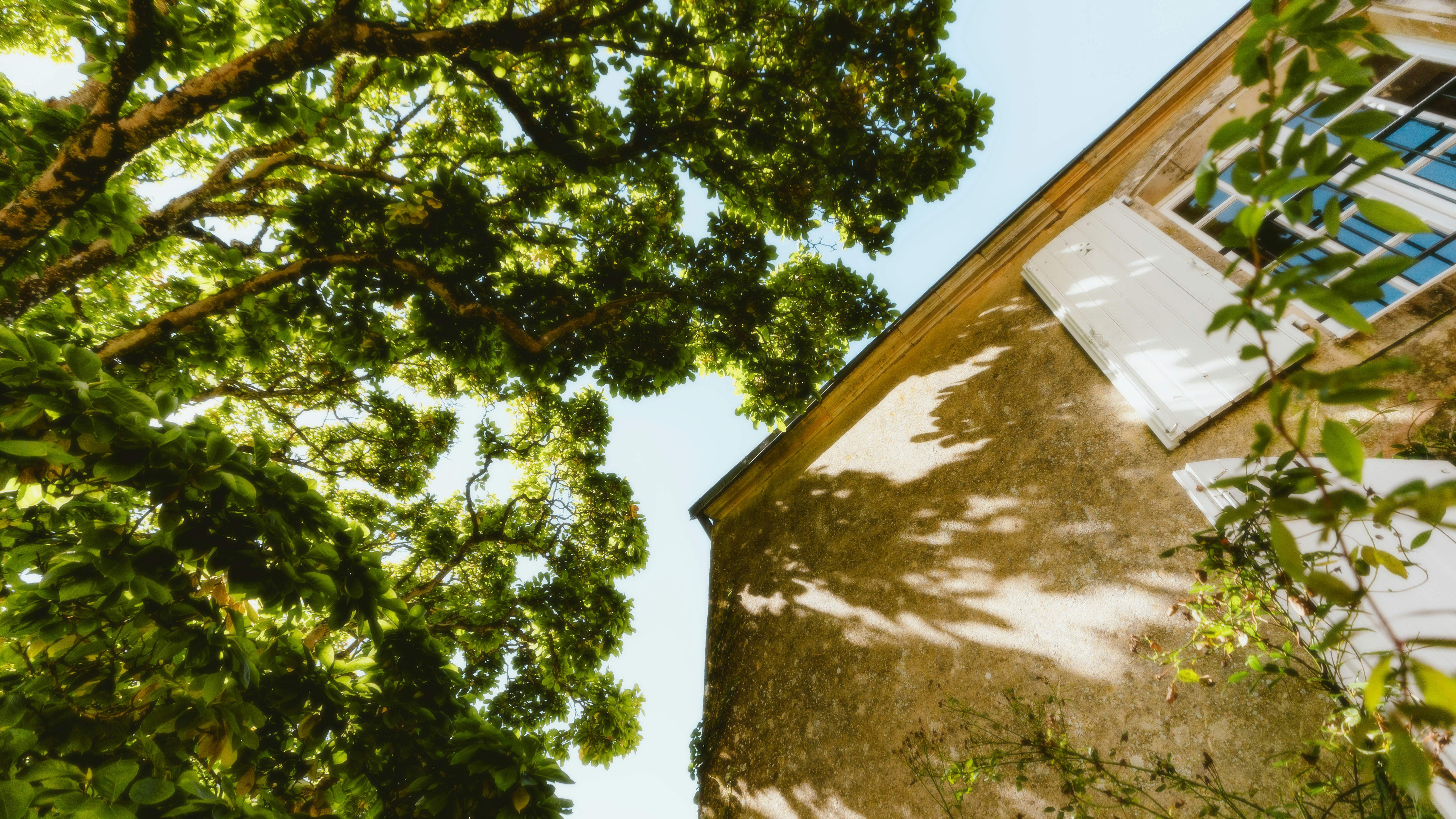 Photo by alingavriliuc