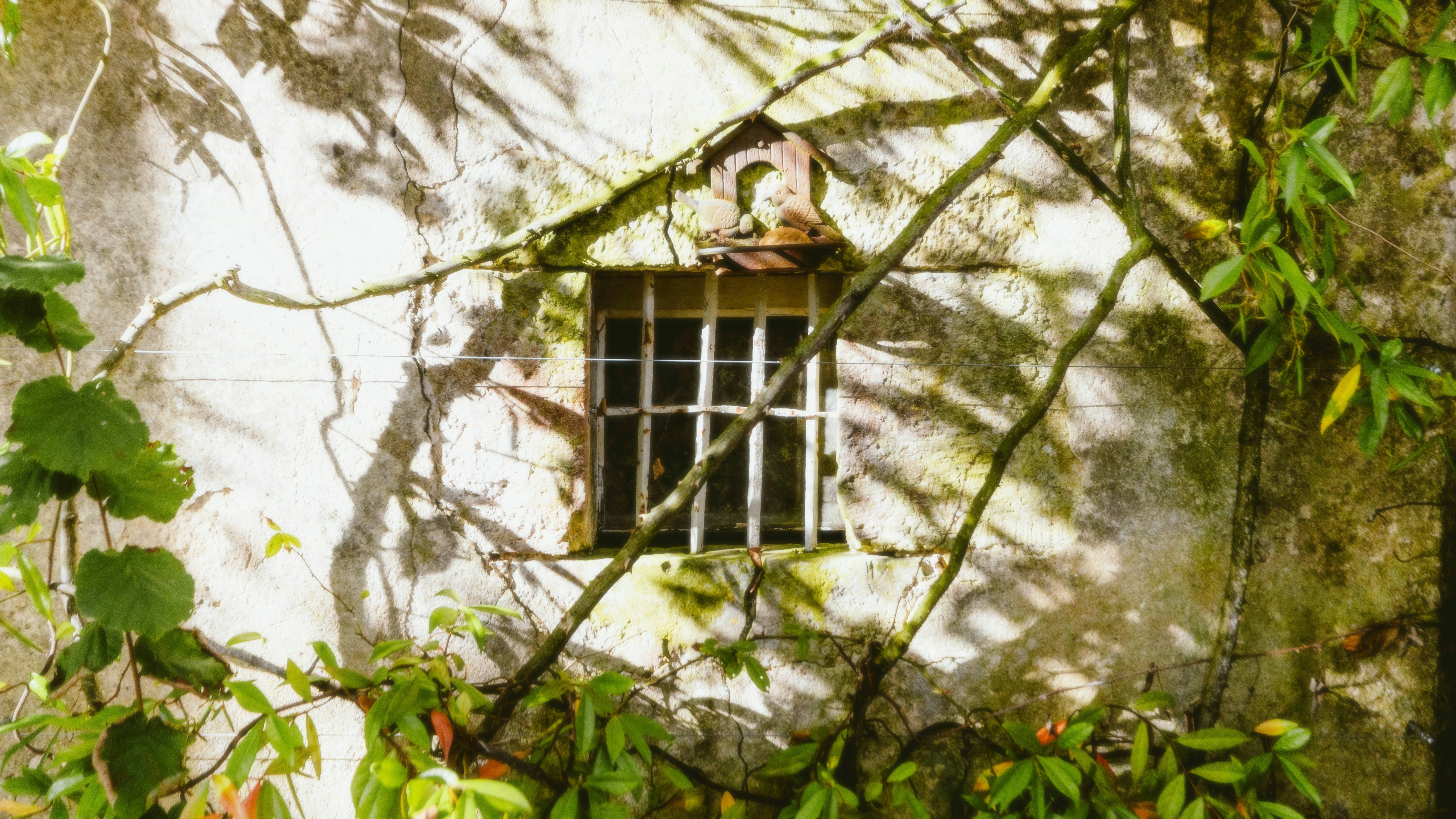 Photo by alingavriliuc