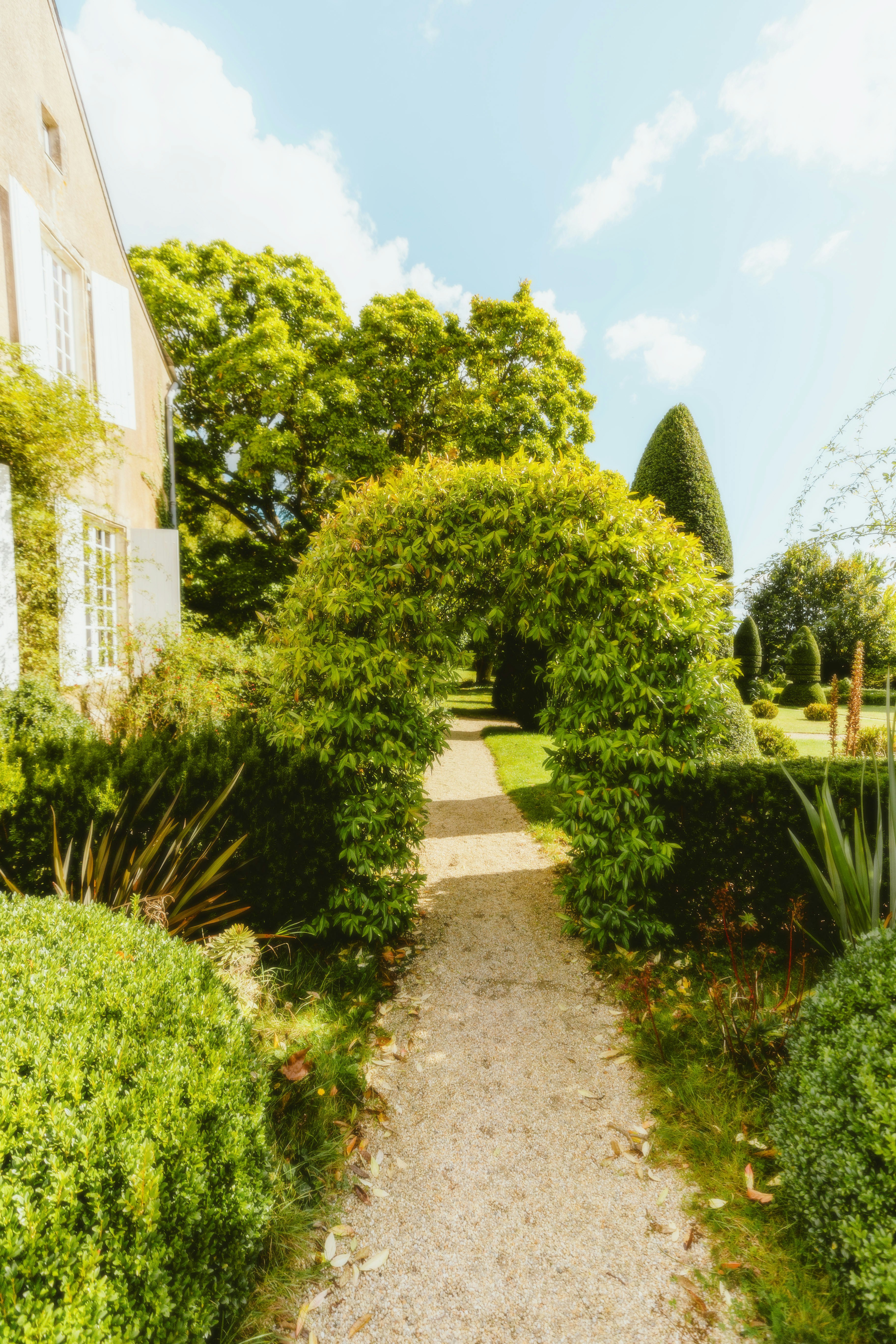 Photo by alingavriliuc