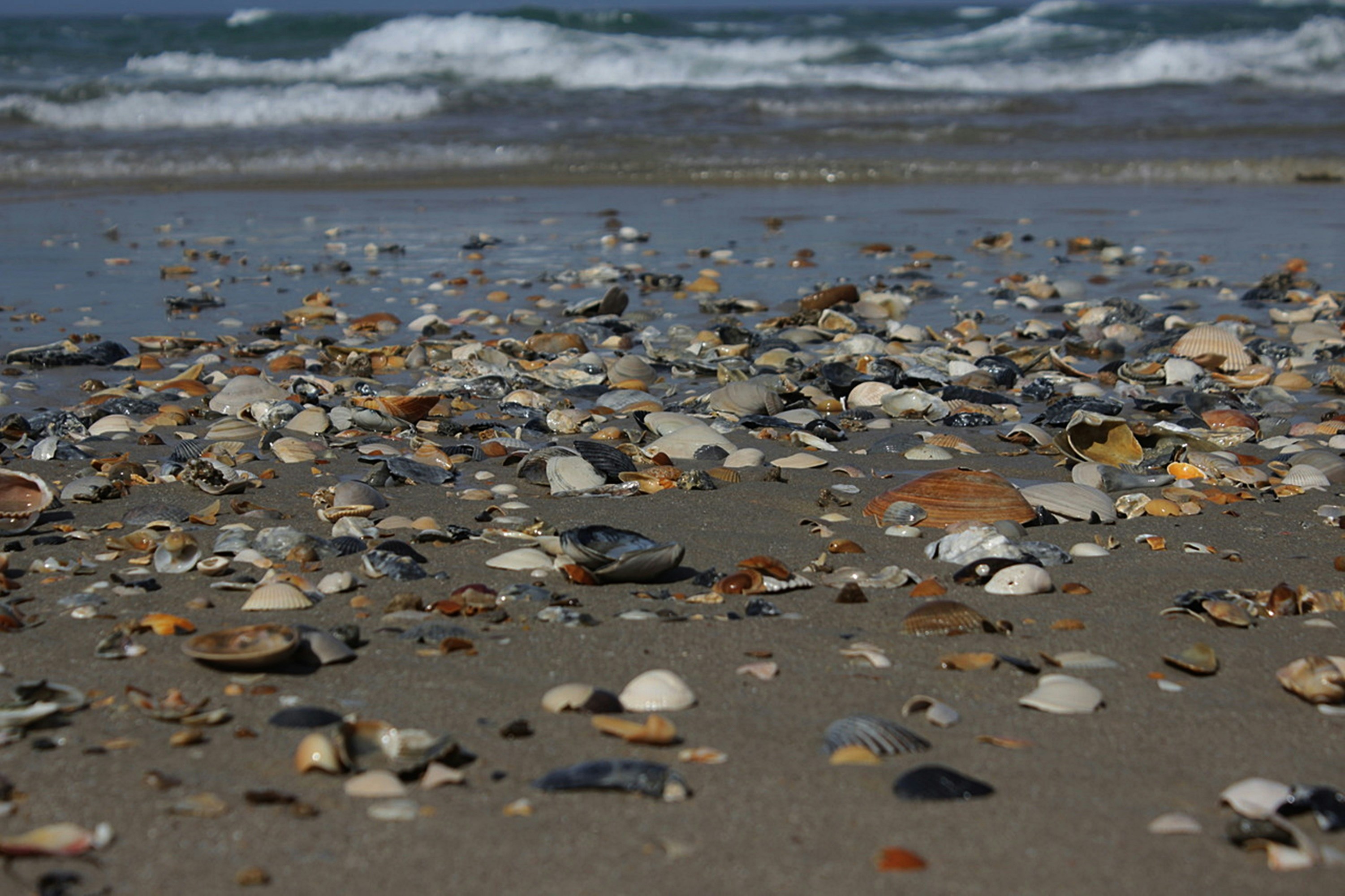 A bunch of rocks that are on a beach photo – Free Beach Image on Unsplash, image size:3000x1999