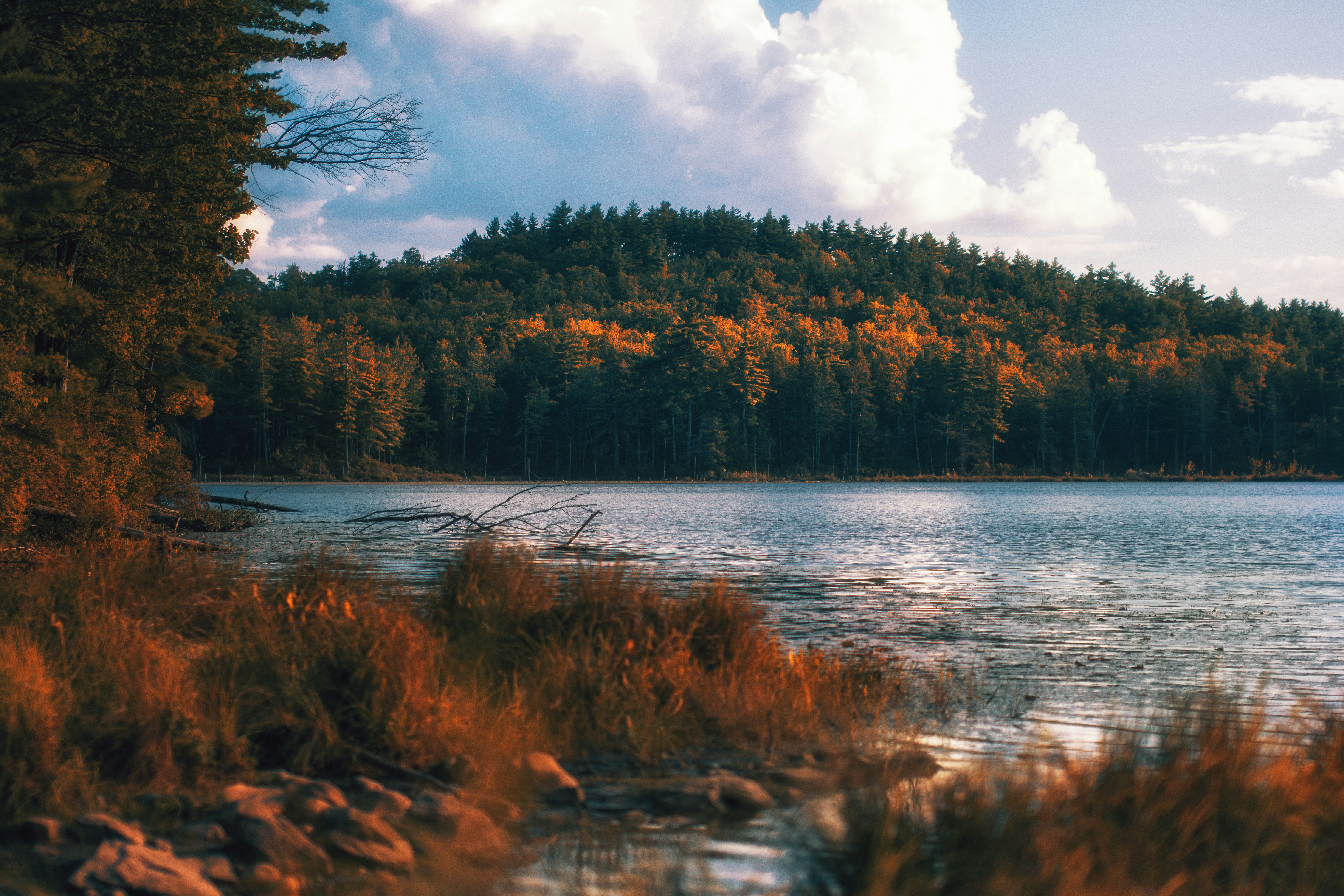 Photo by nh_landscapes