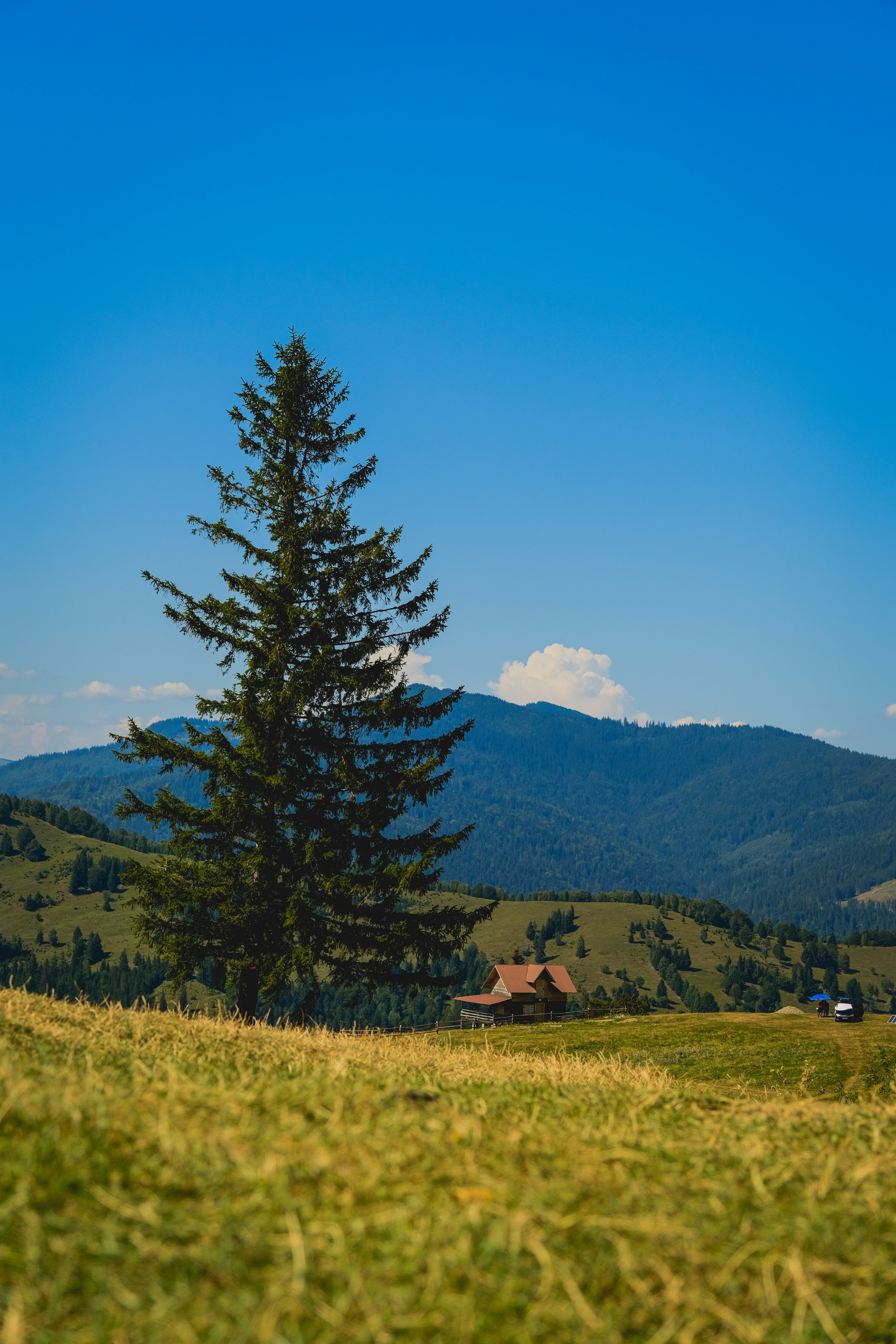 Photo by denisaficau