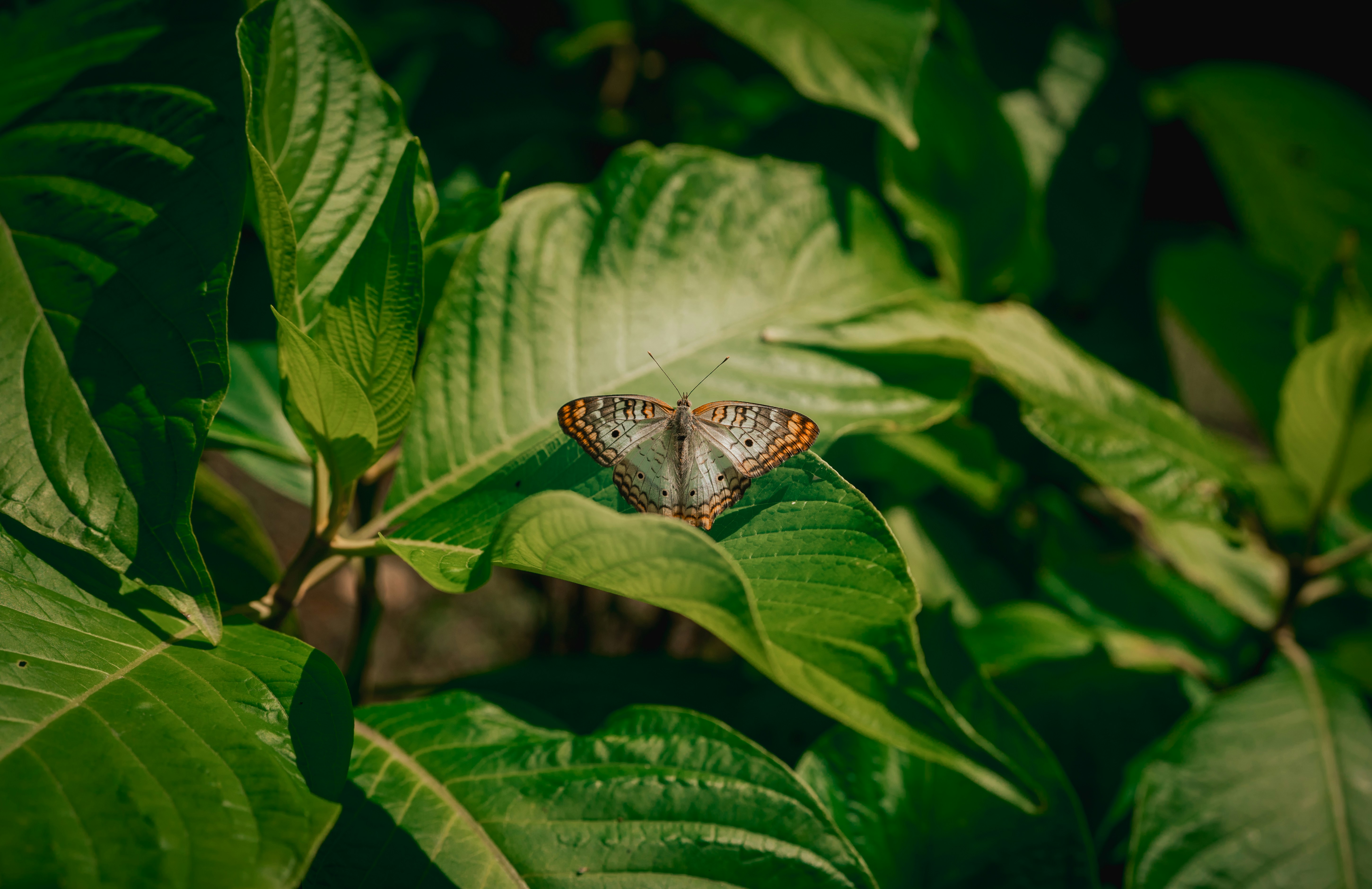 Daily Productive Sharing 1081 - Preparation