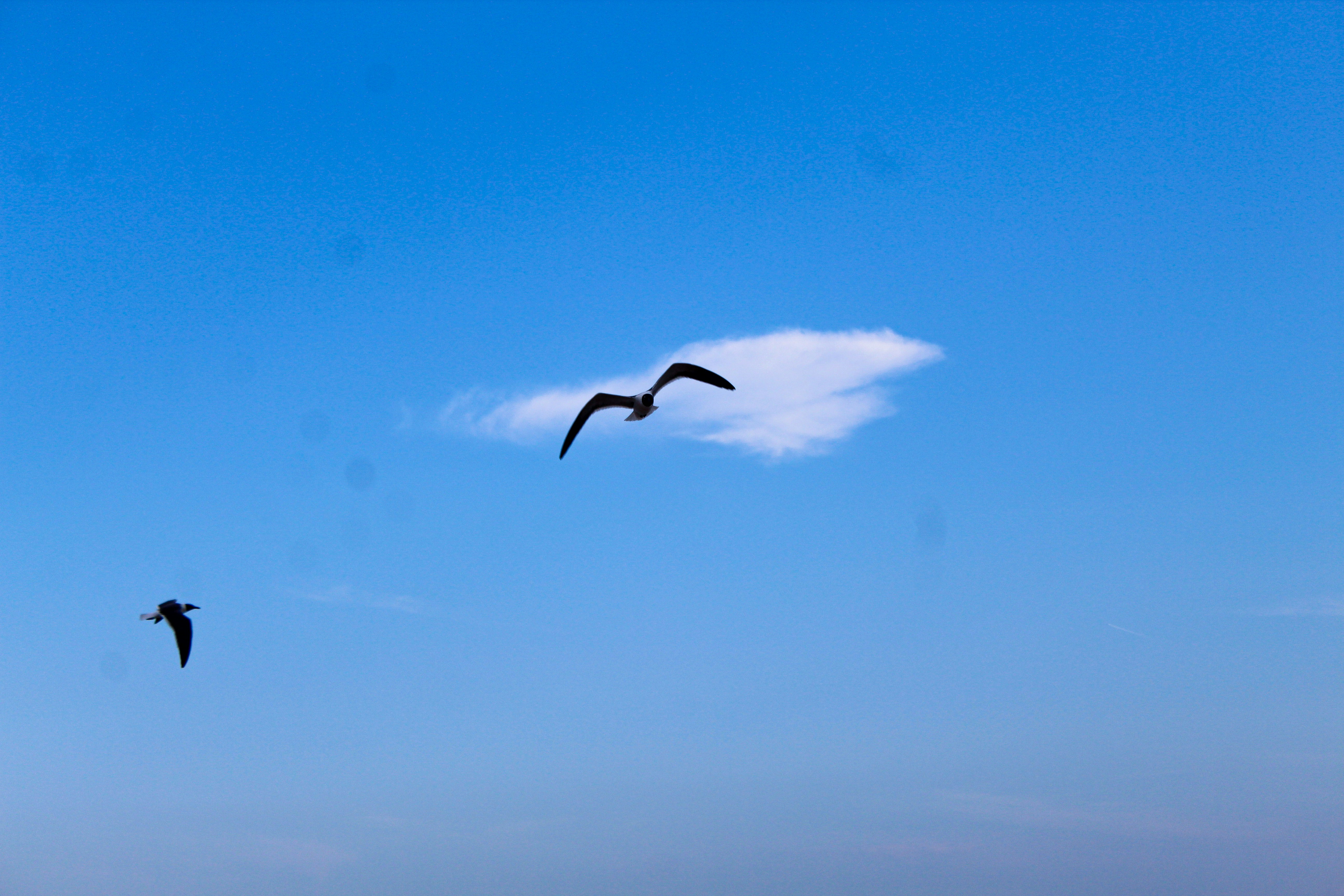 Photo by jimisees