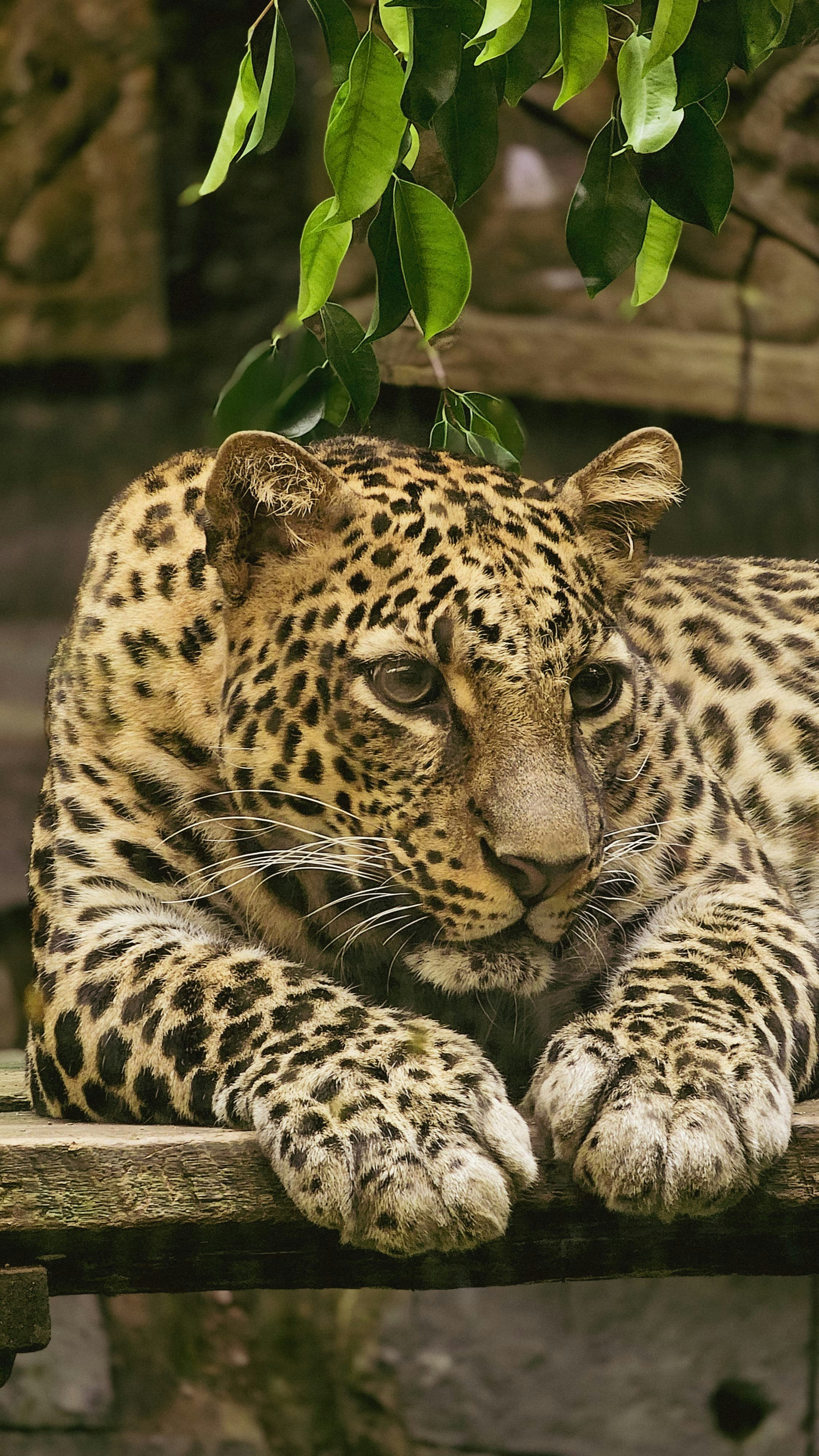 Photo by lovelyayunda20