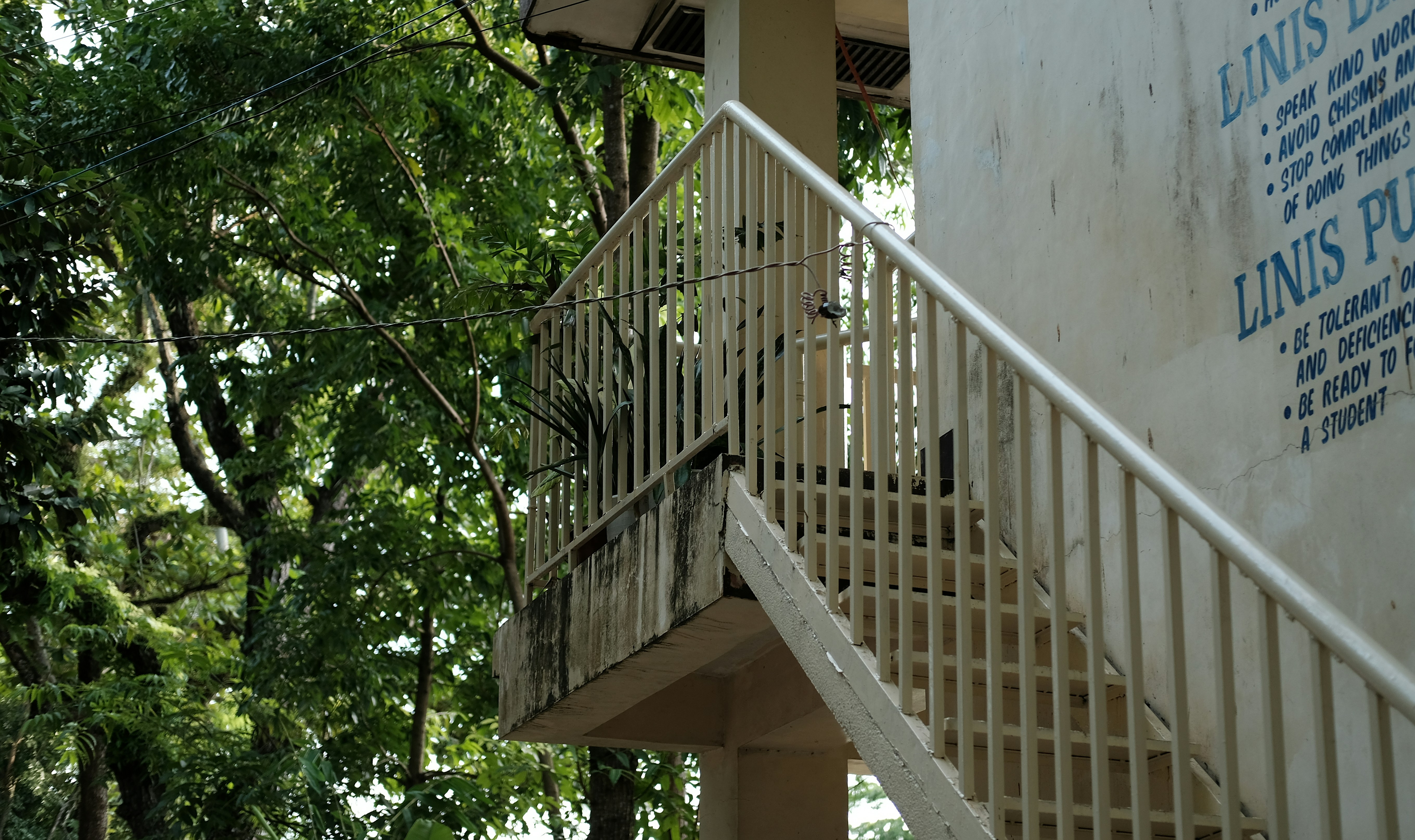 A stair case next to a building with trees in the background
