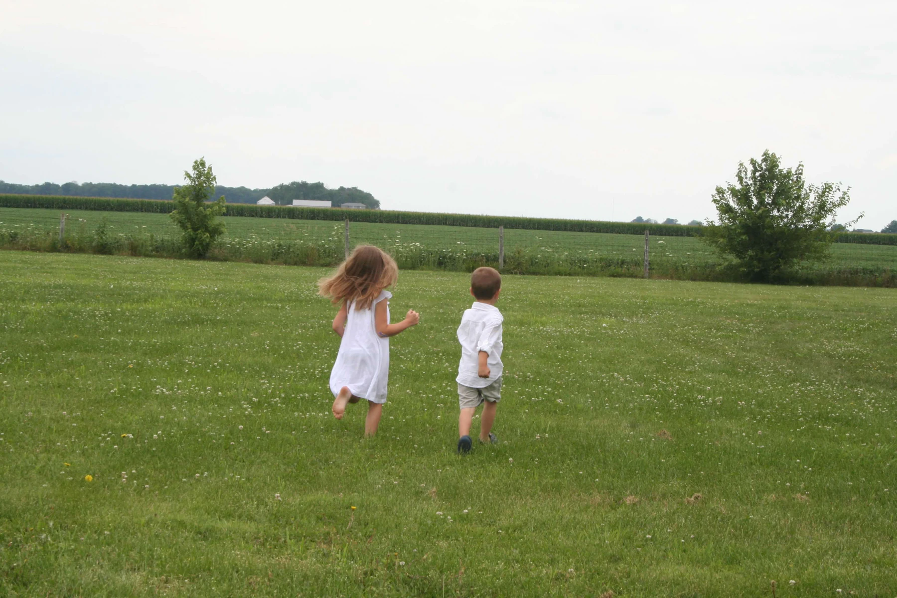 Two small children in white cotton walking away across a green field