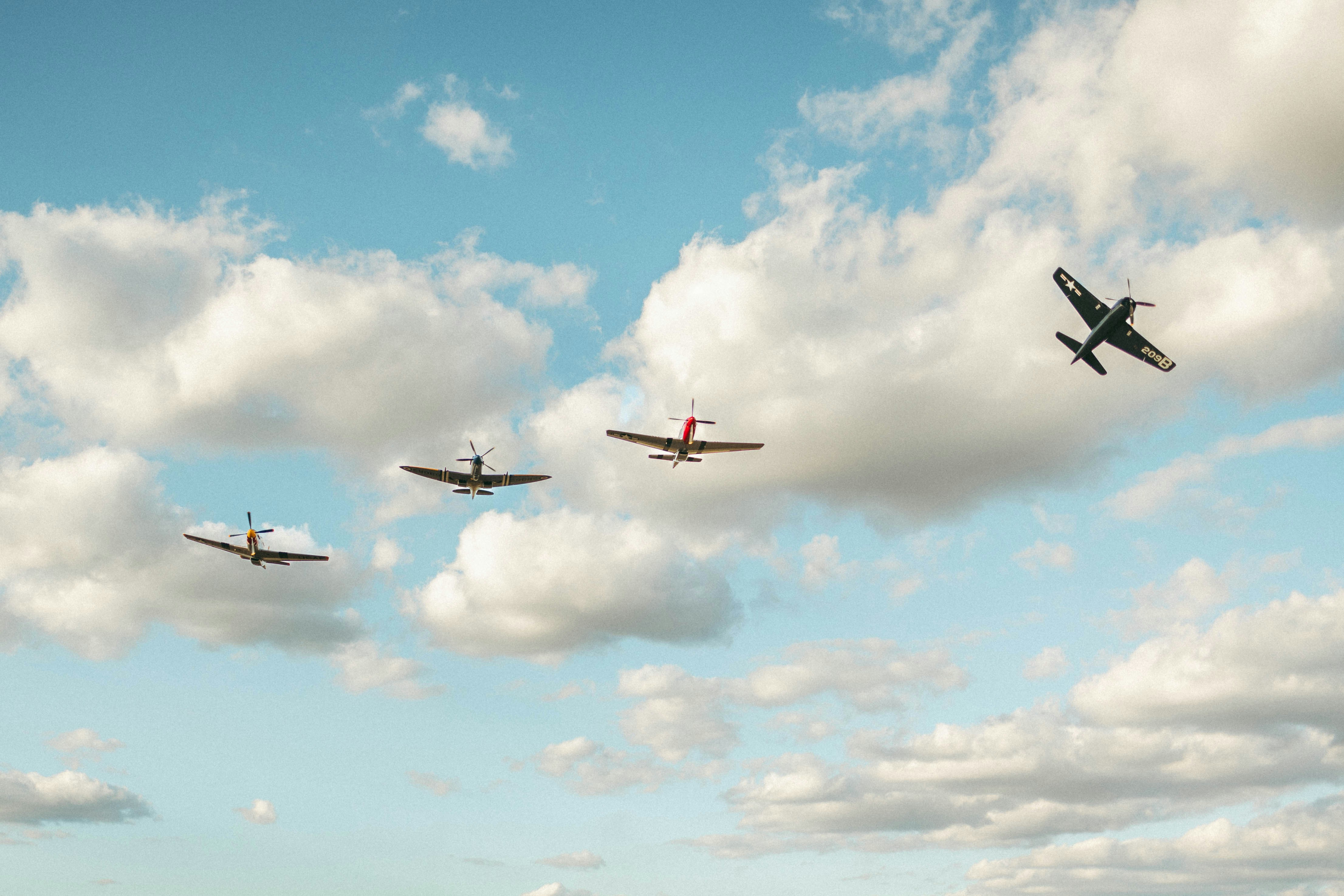 Photo by alexisleighbull