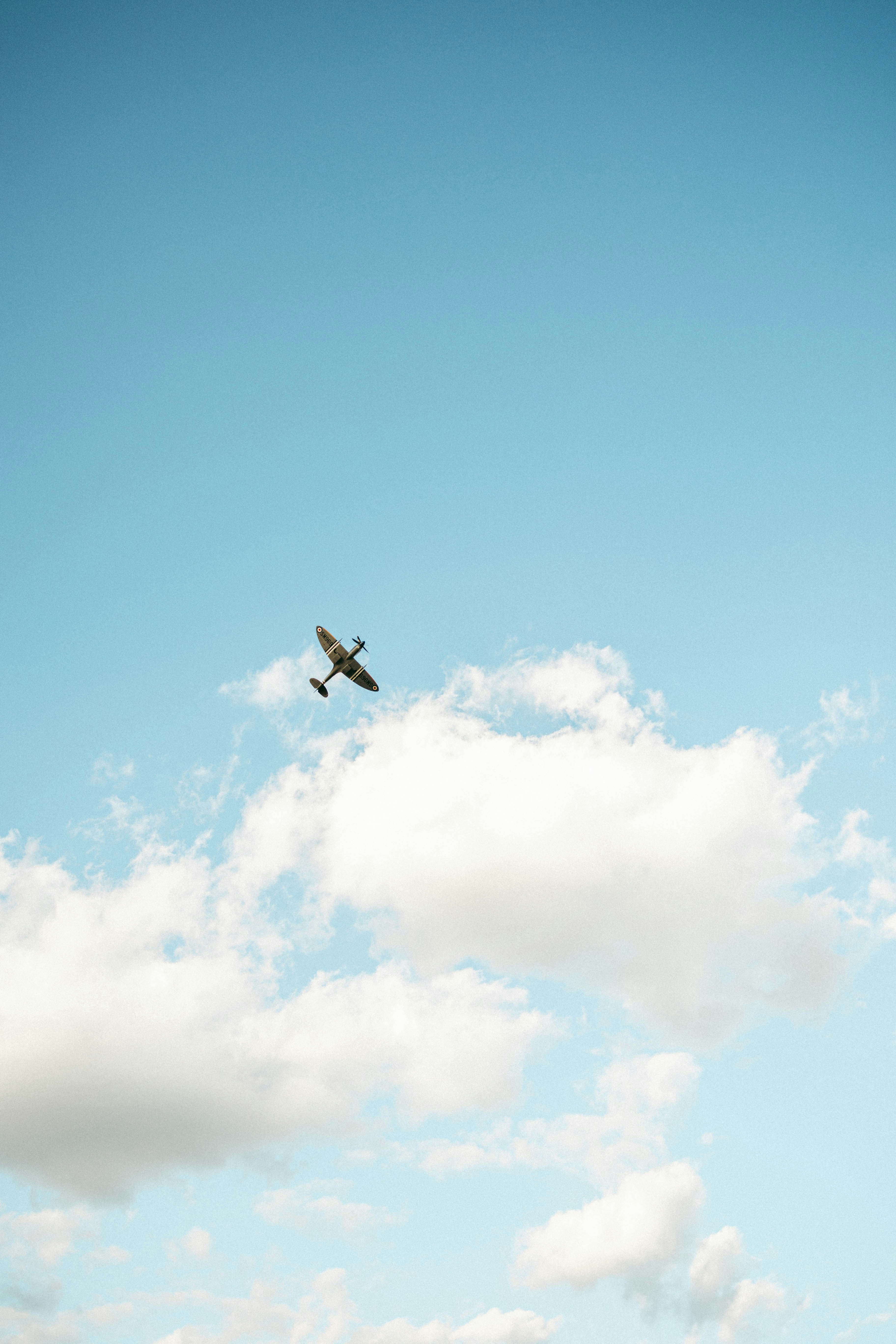 Photo by alexisleighbull