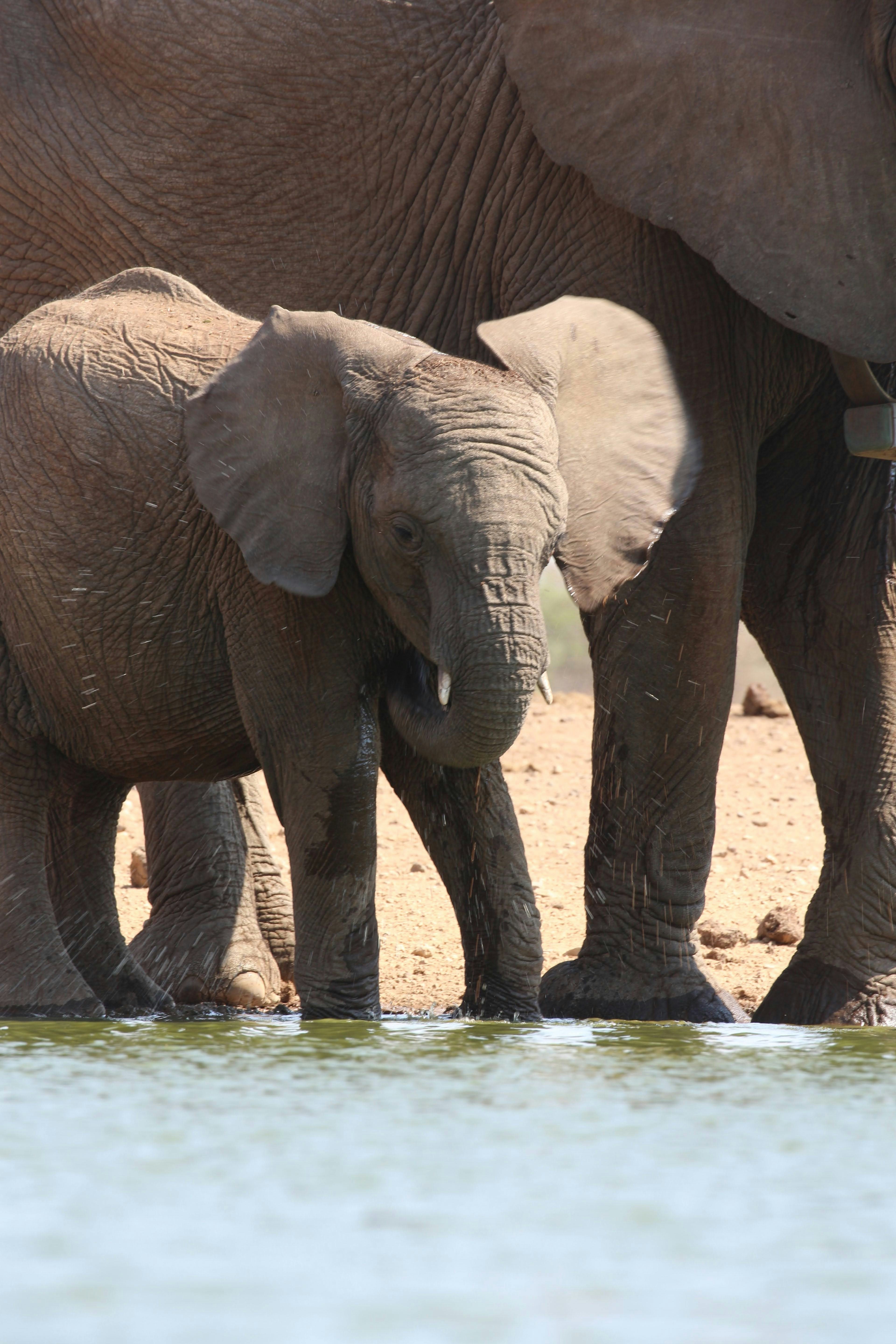 Photo by luizadelpapa