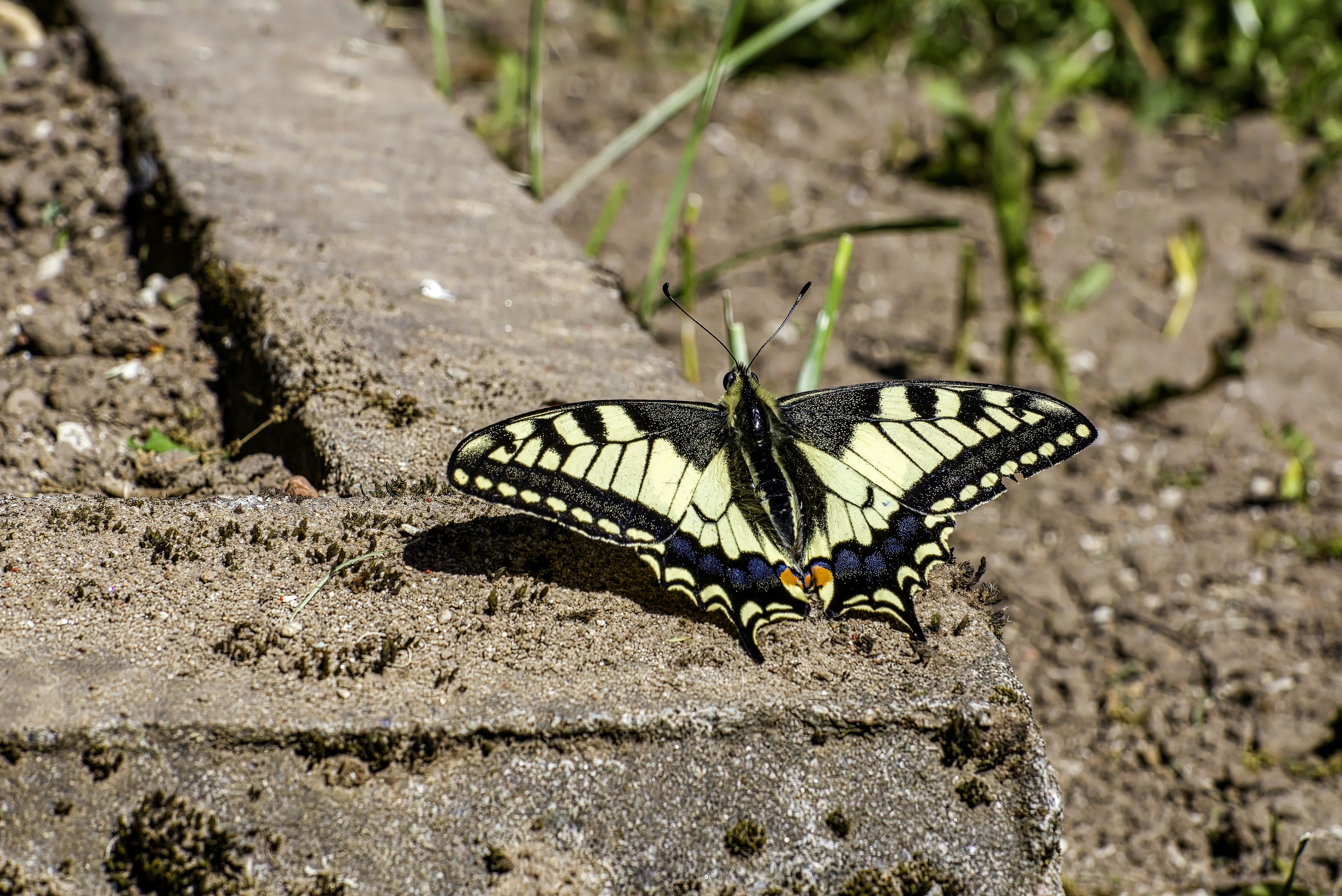 Photo by erik_karits