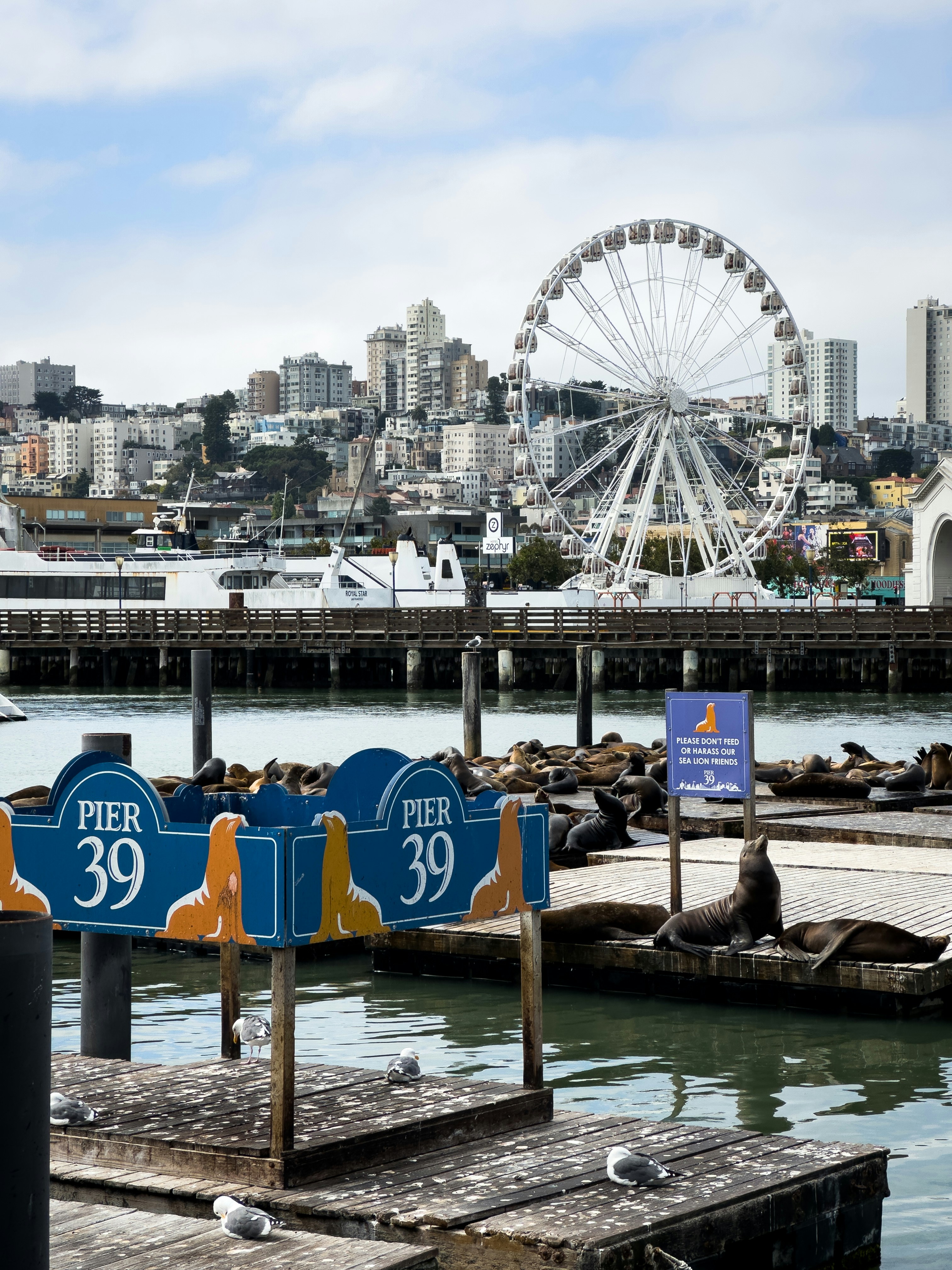 friendship wallpaper phone, wallpaper, Find Friends on Android: A Comprehensive Guide 3