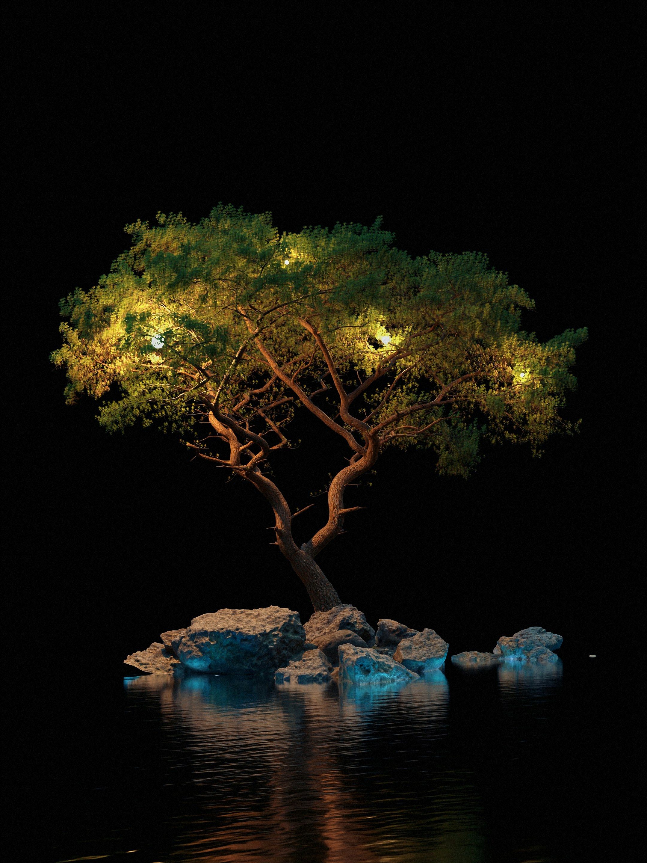 A tree that is sitting in the water