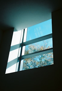 A window in a room with a tree outside