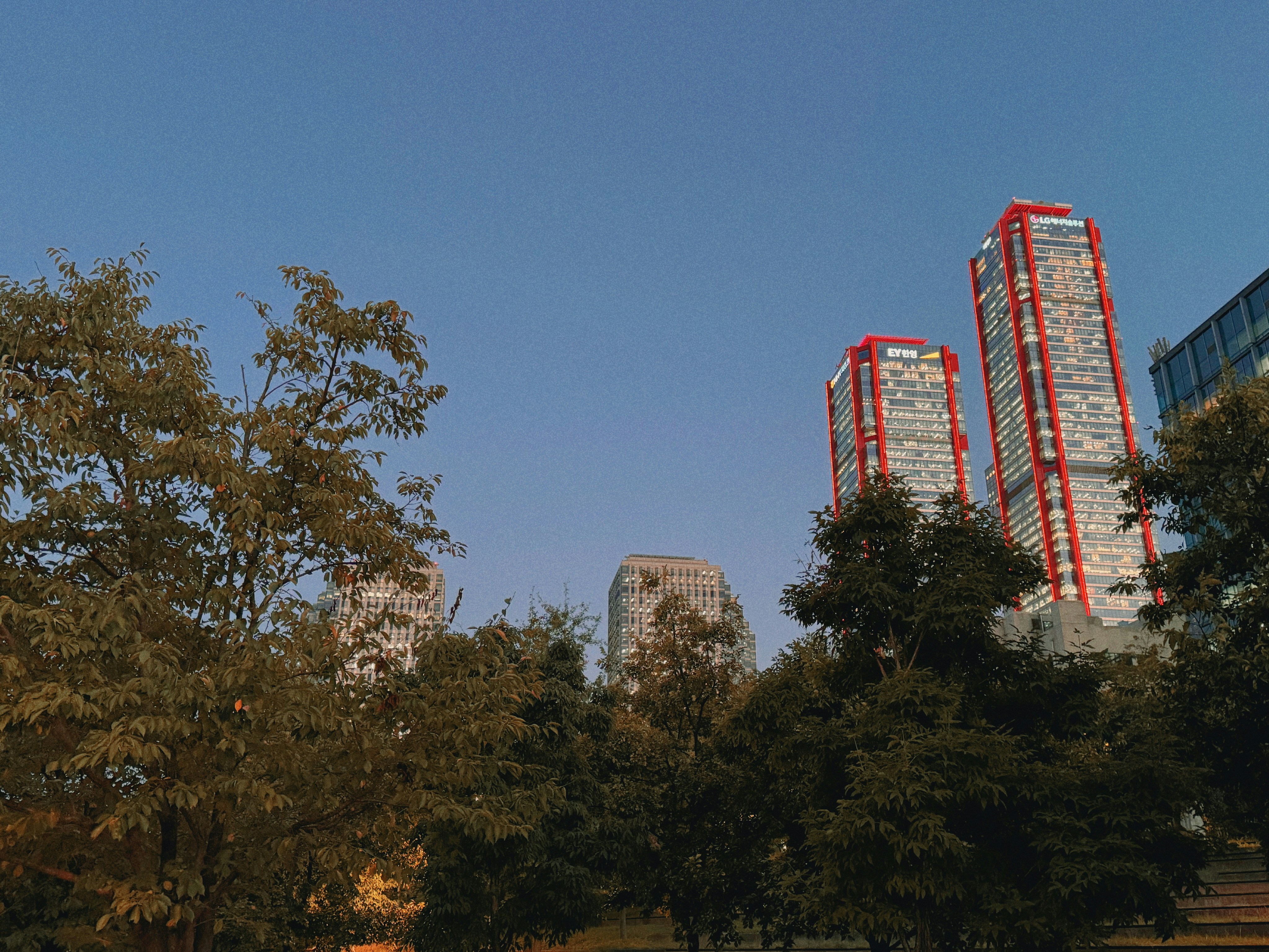 Containers in Red Oak, TX