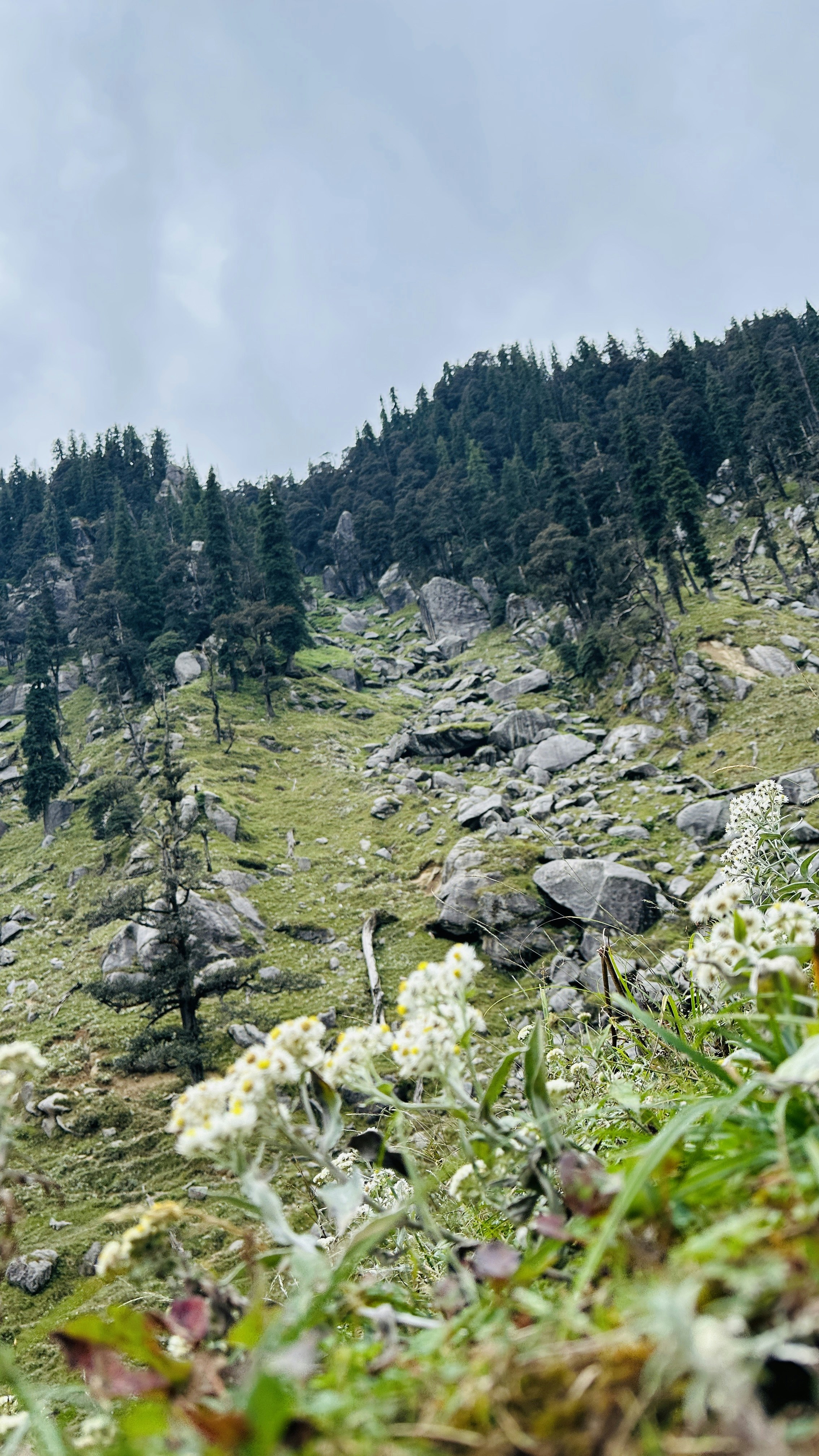 Photo by naturebyneha