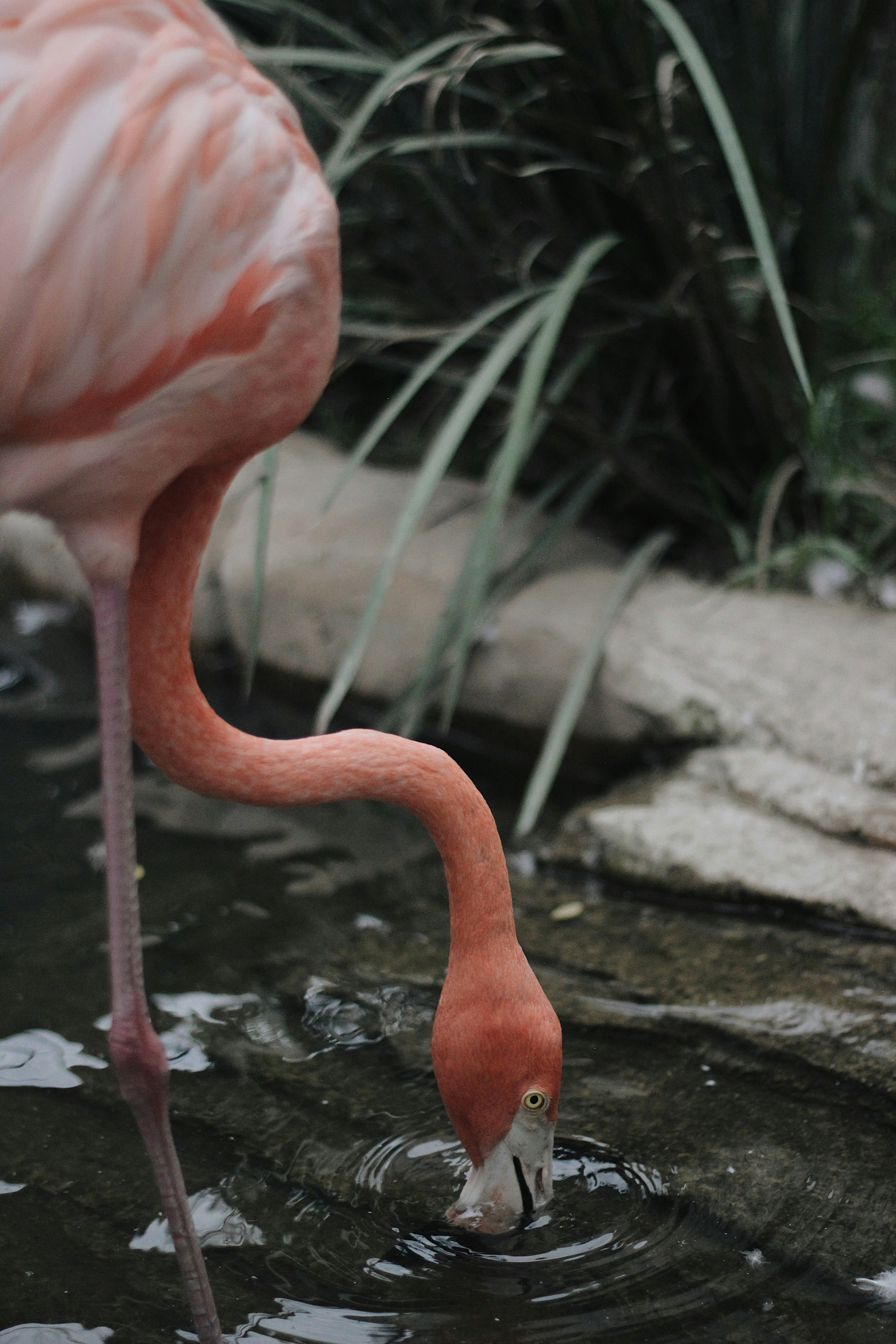 Photo by sofiamejiach