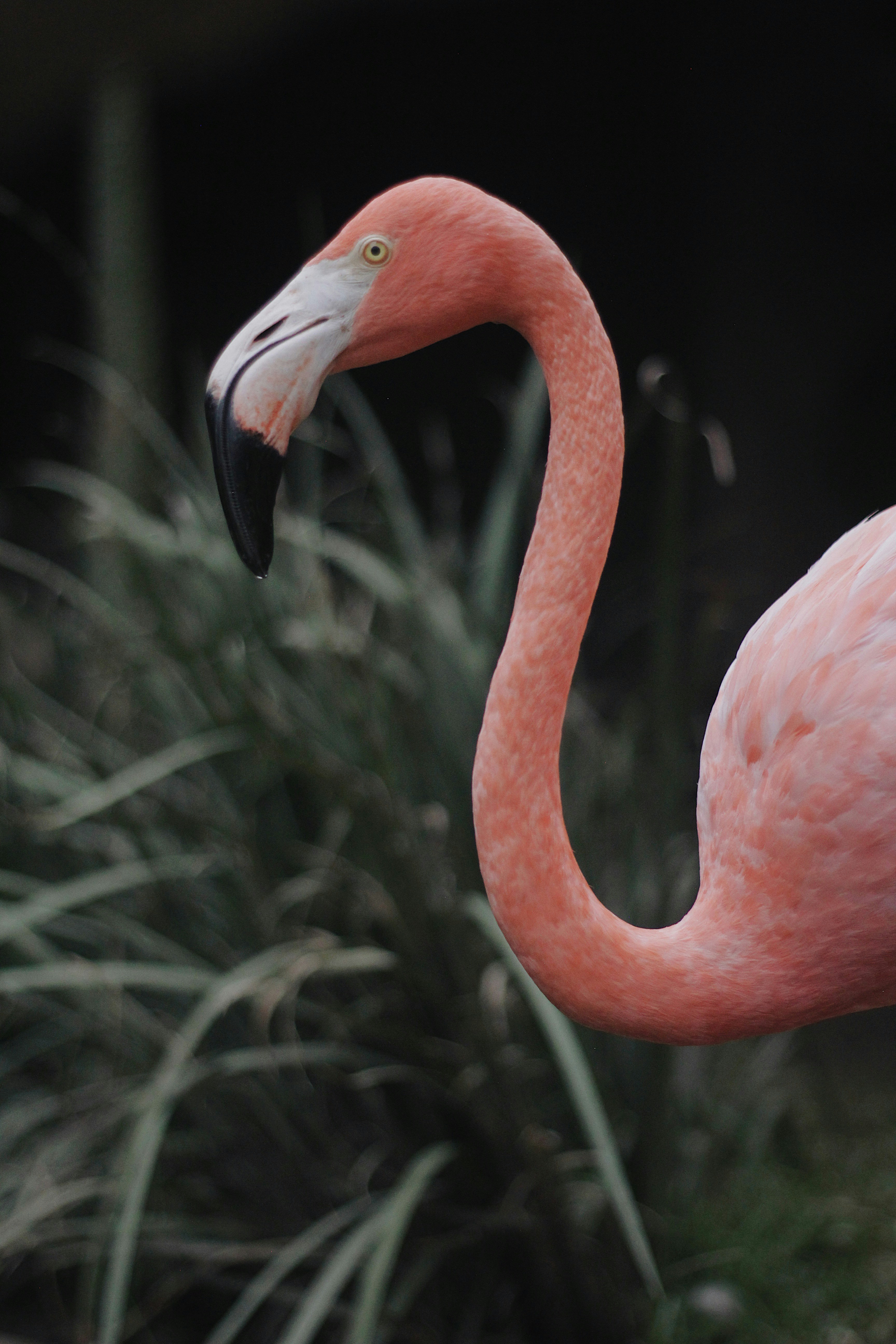 Photo by sofiamejiach