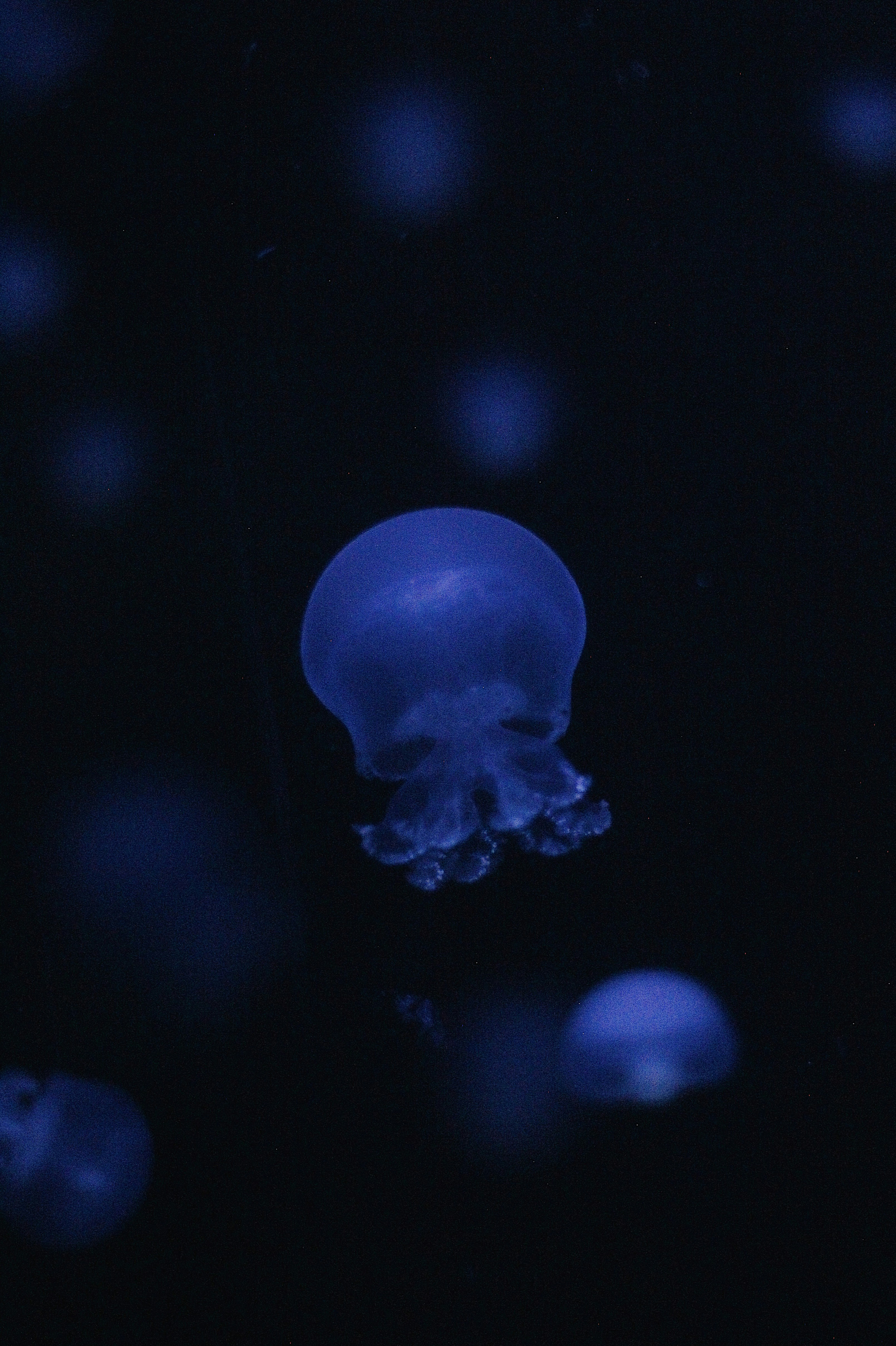 Photo by sofiamejiach