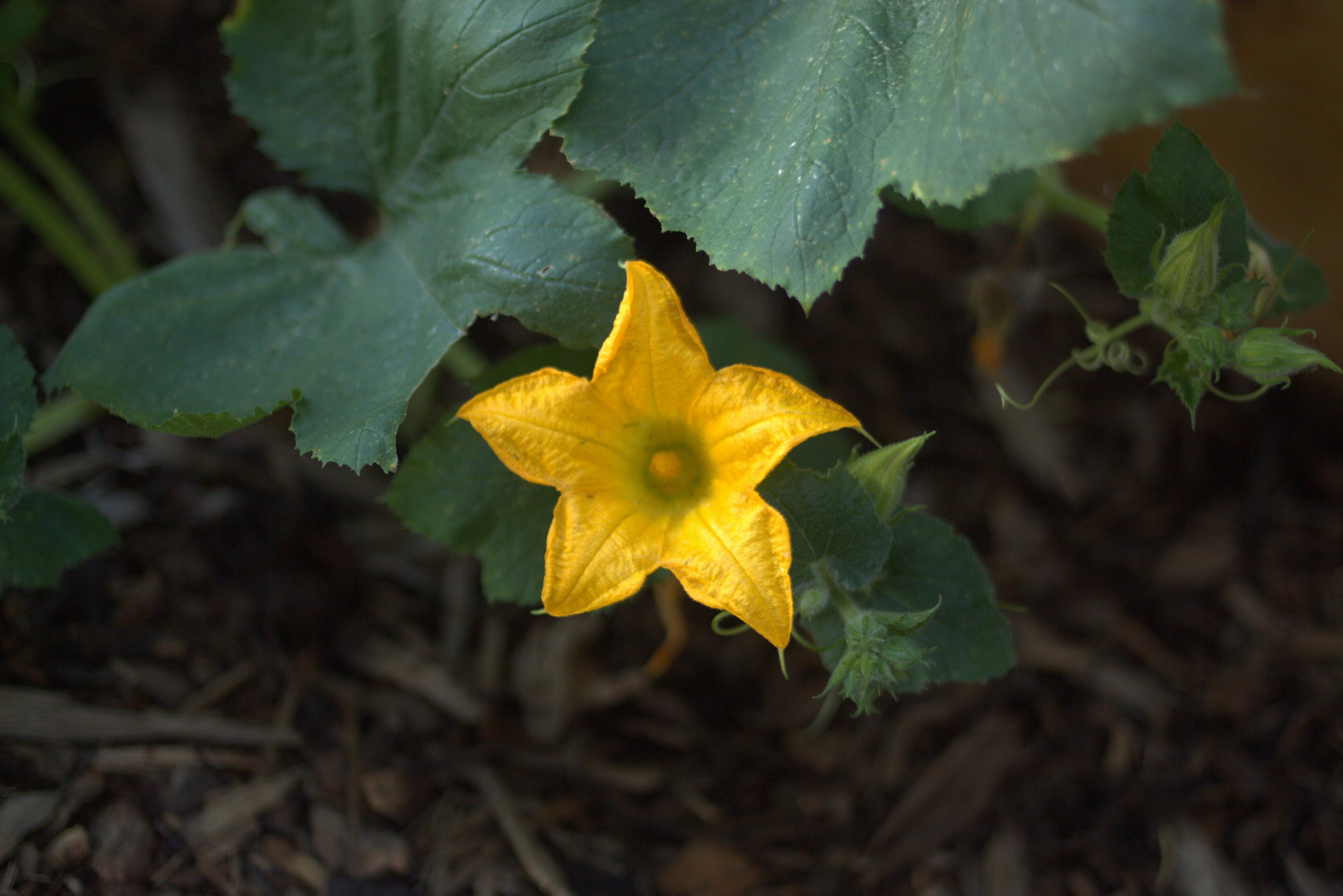 Photo by austinjoyous