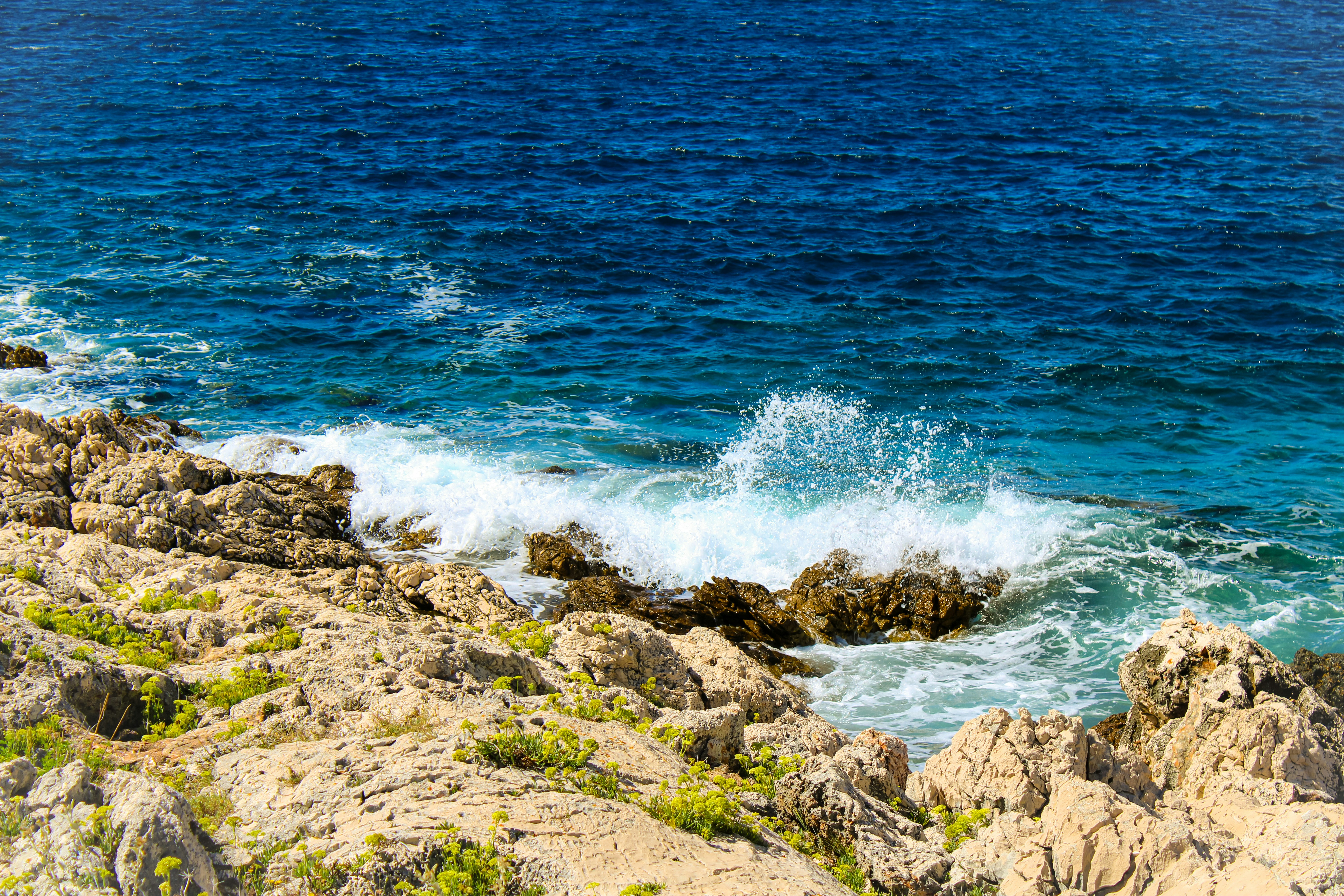 Photo by _jellephotography