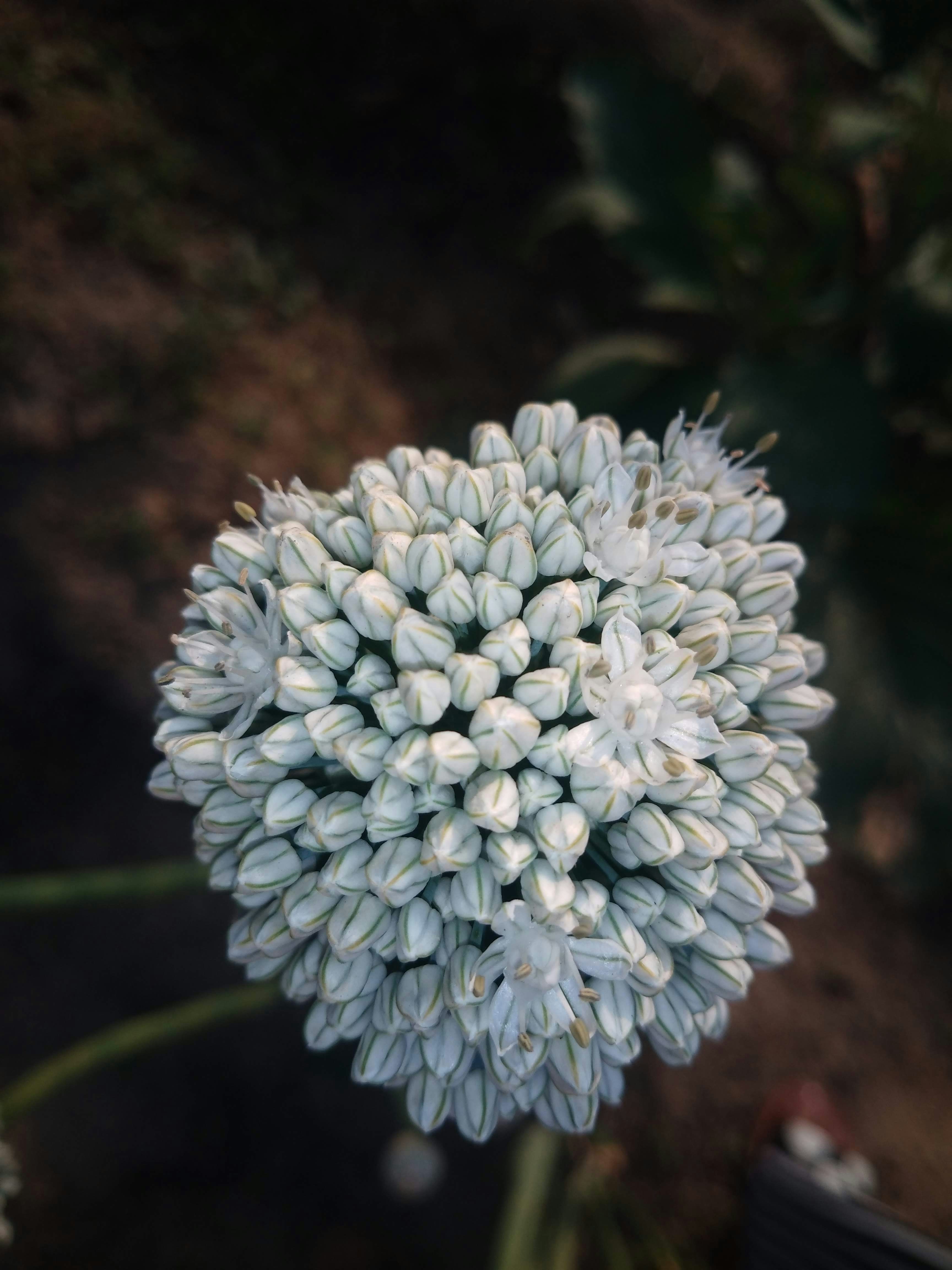 Photo by harpreetkaur