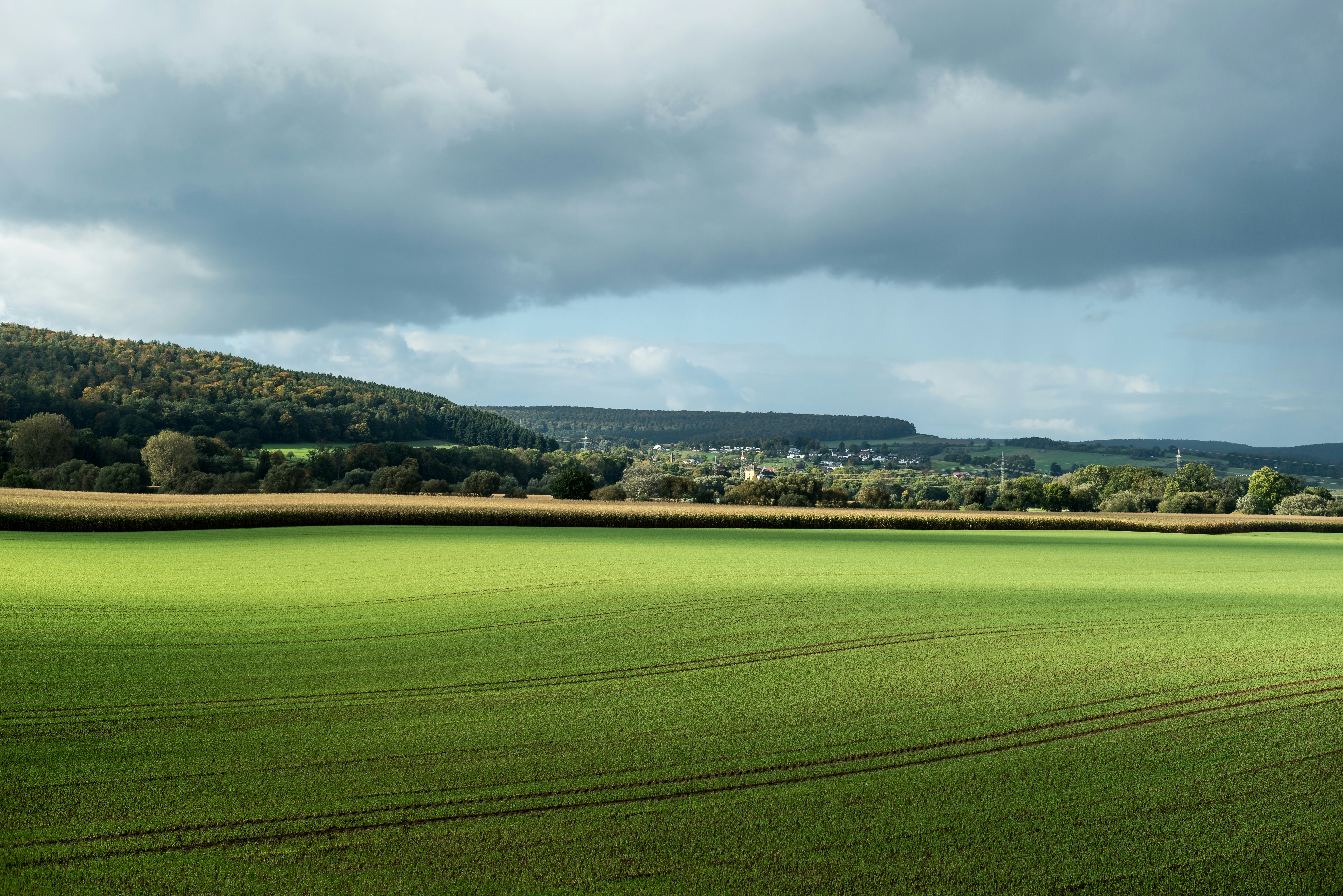 Photo by hamburgmeinefreundin