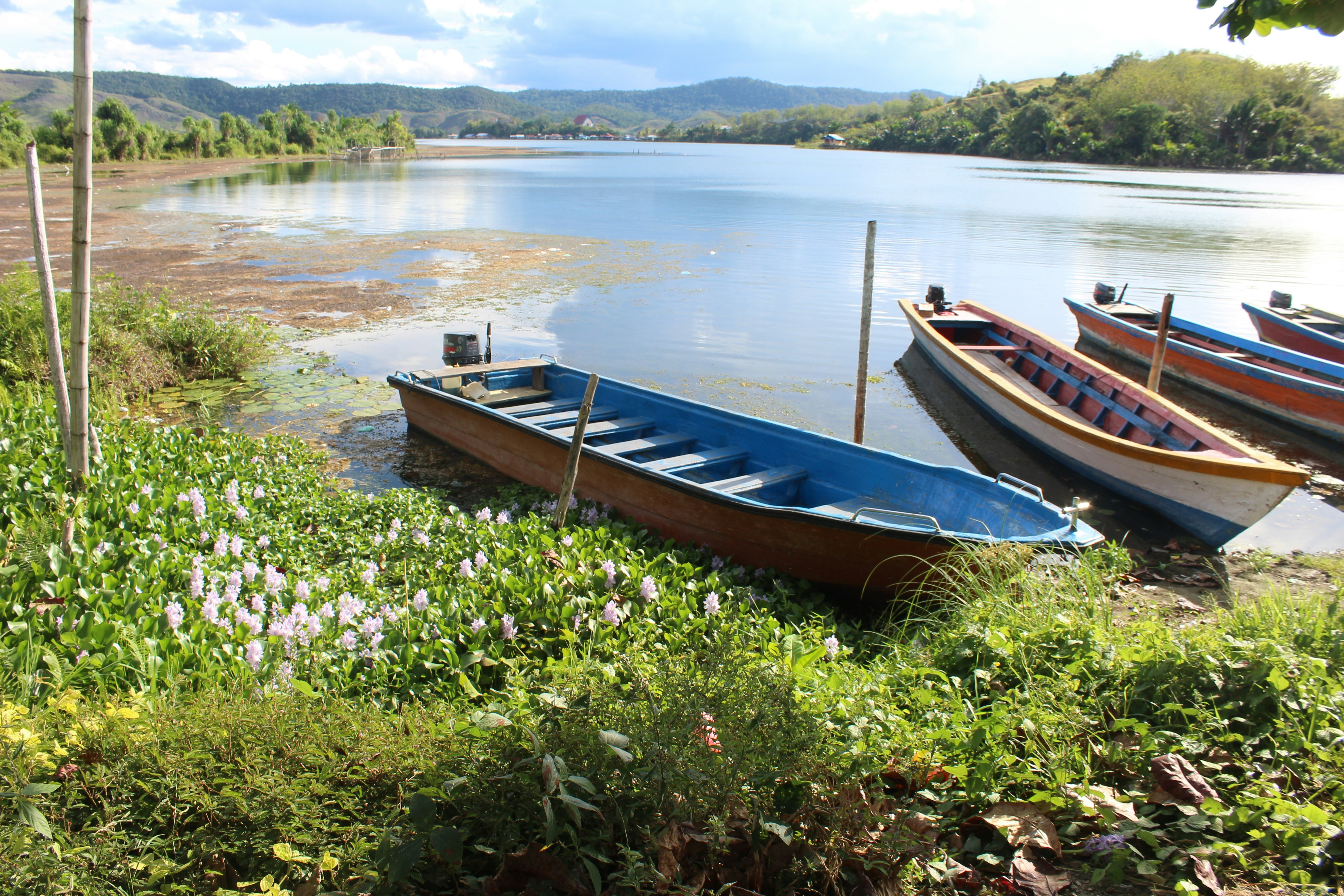 Photo by usquebough26