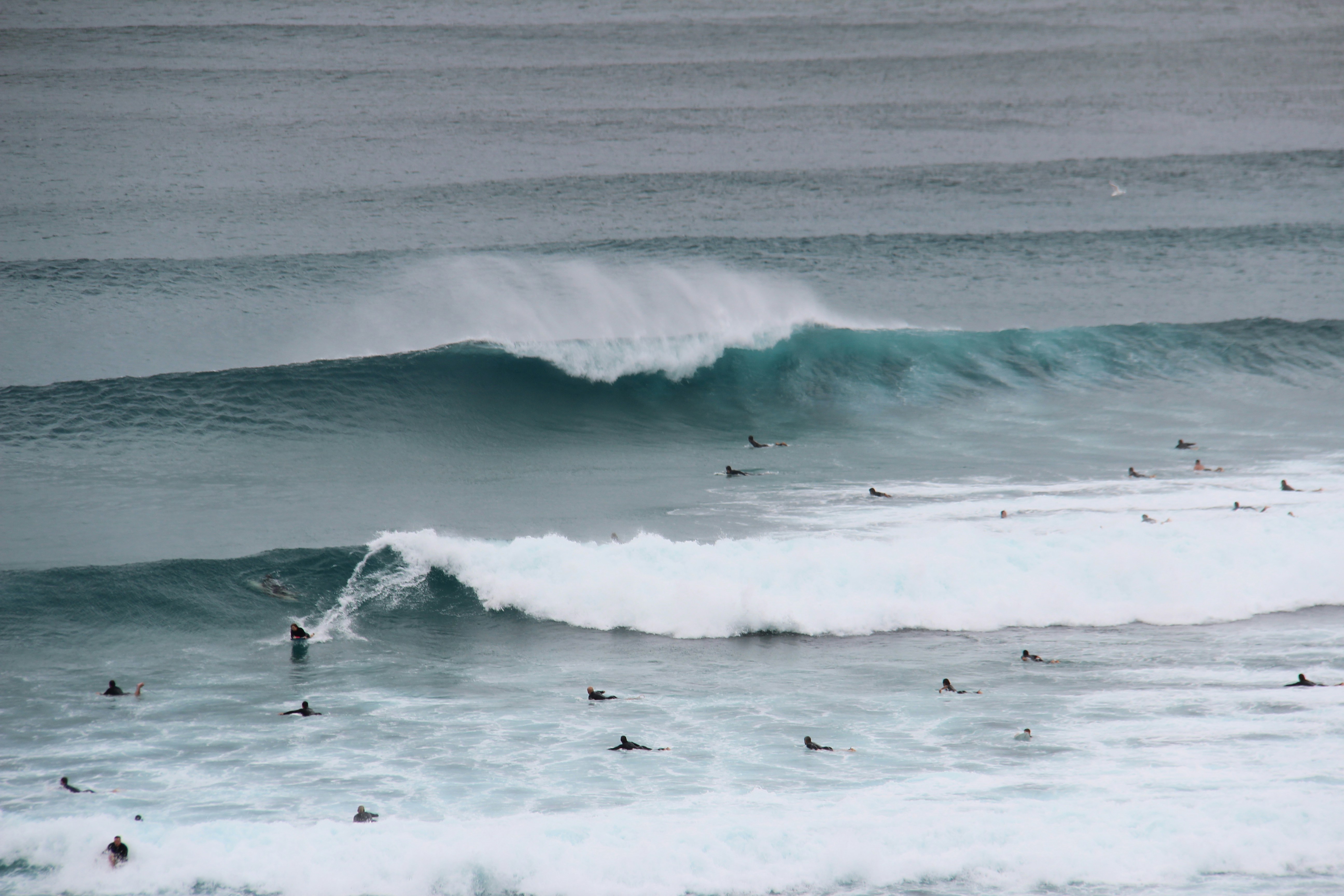 A group of surfers riding the waves in the ocean
