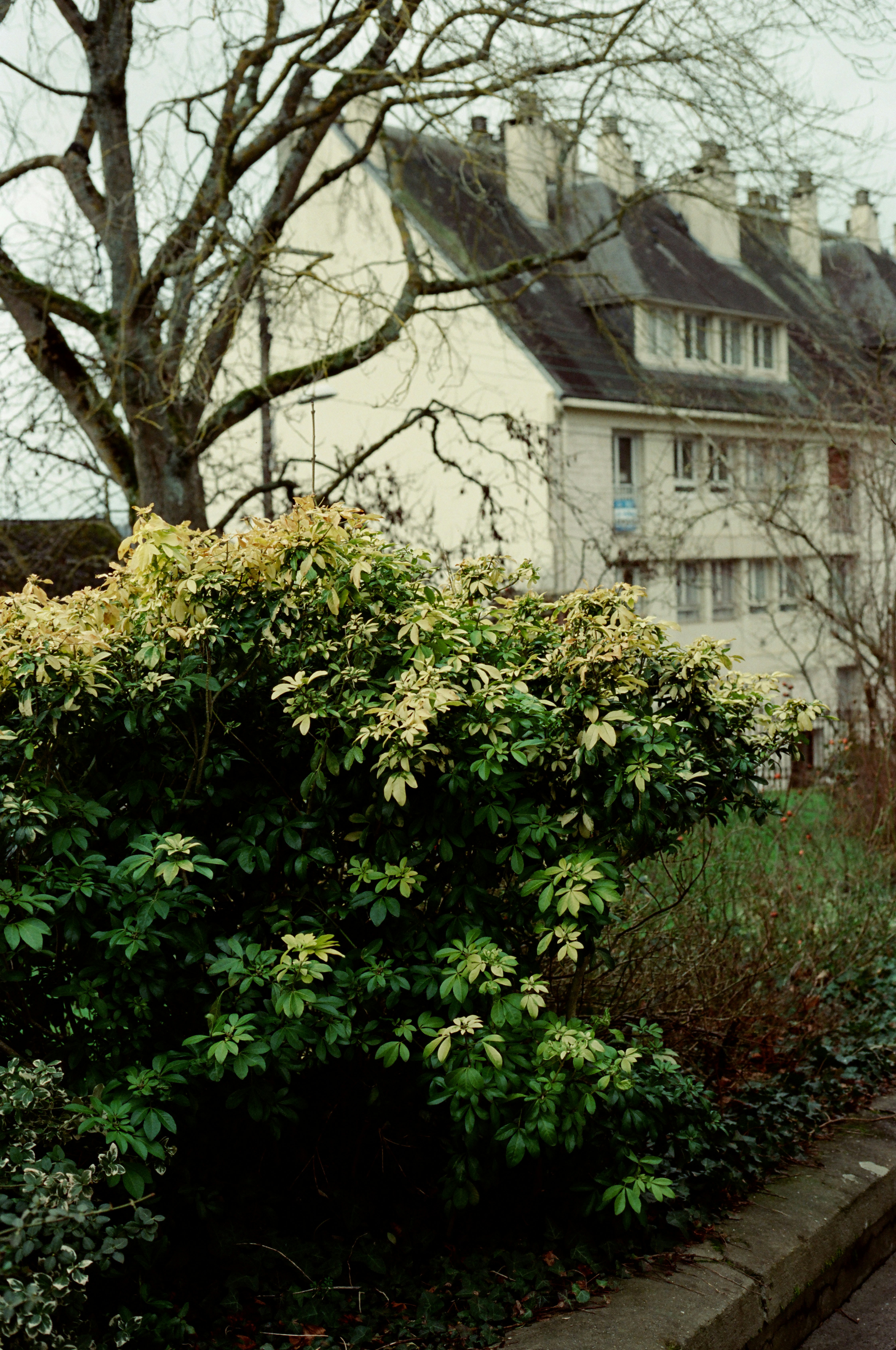 Photo by mineral_of_demon