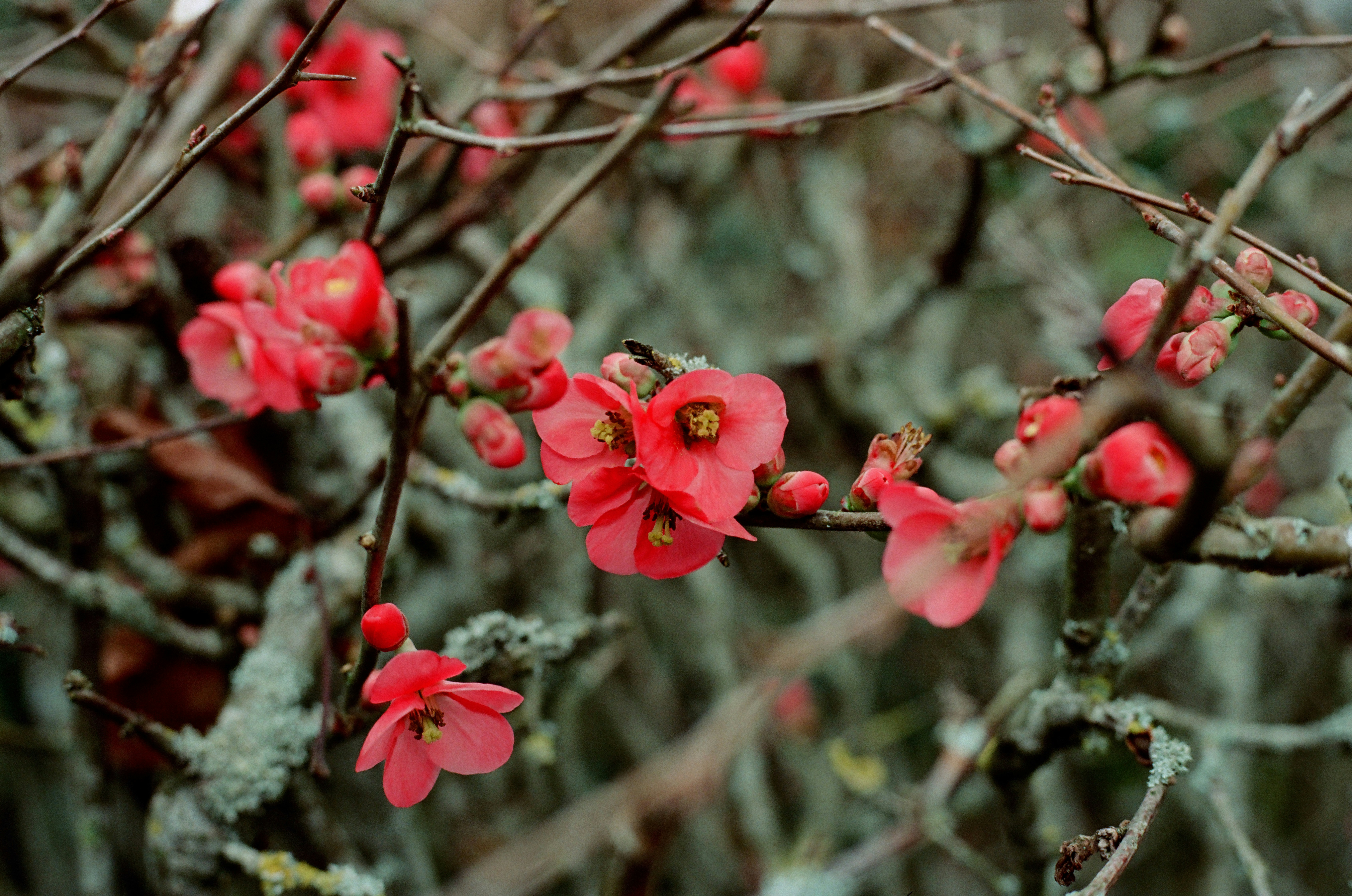 Photo by mineral_of_demon