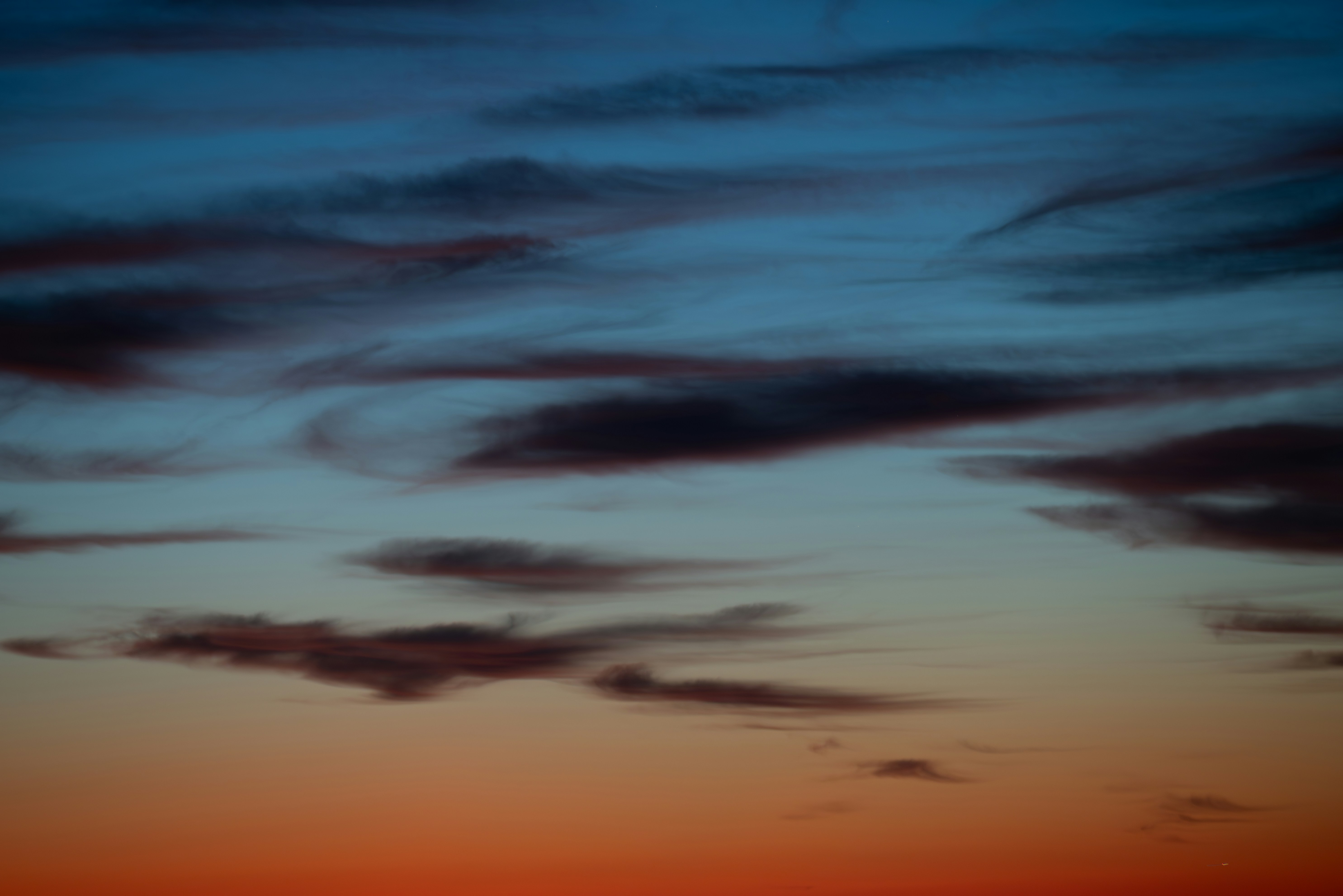 Photo by nikol_royce