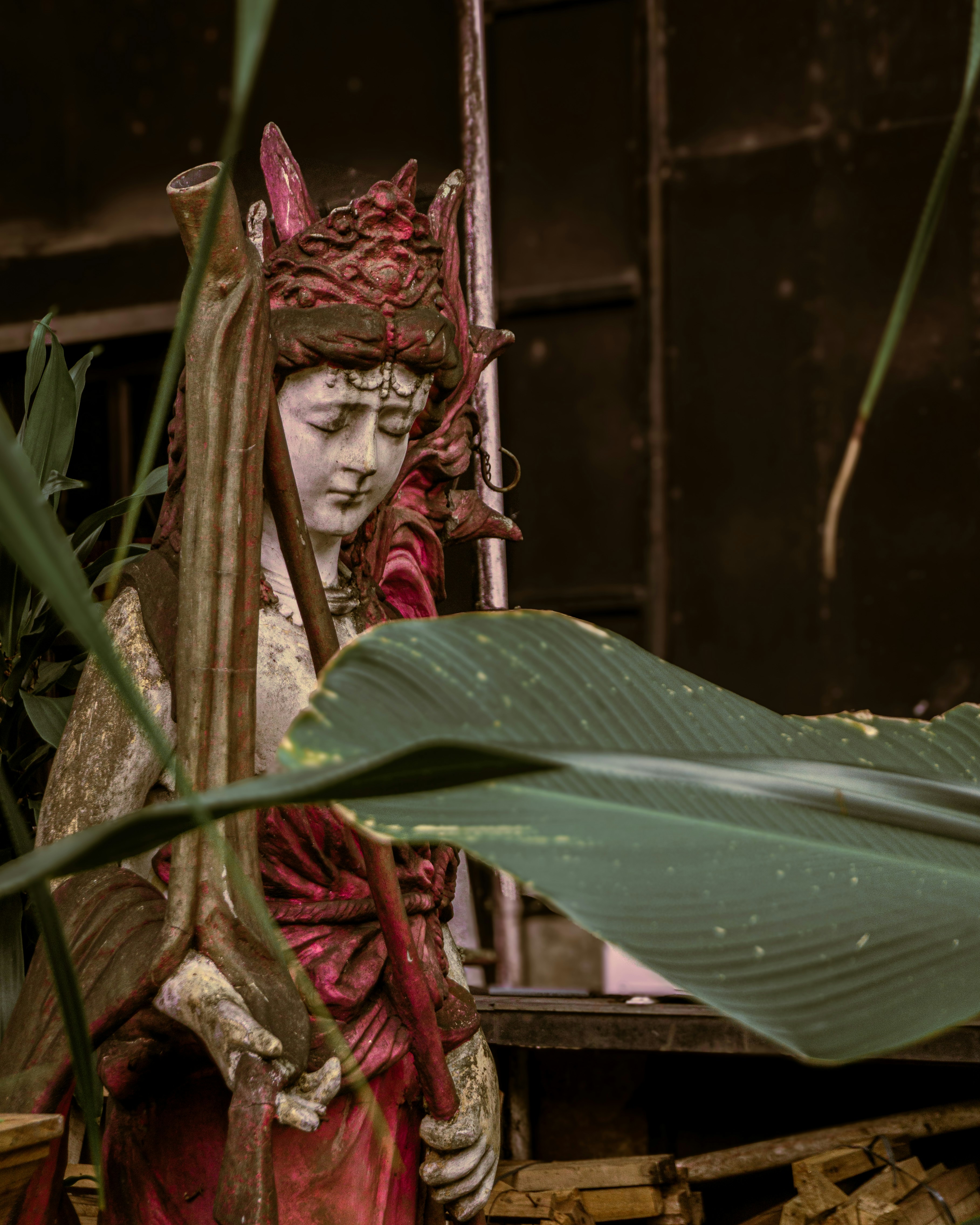 Photo by vicko_fidelis