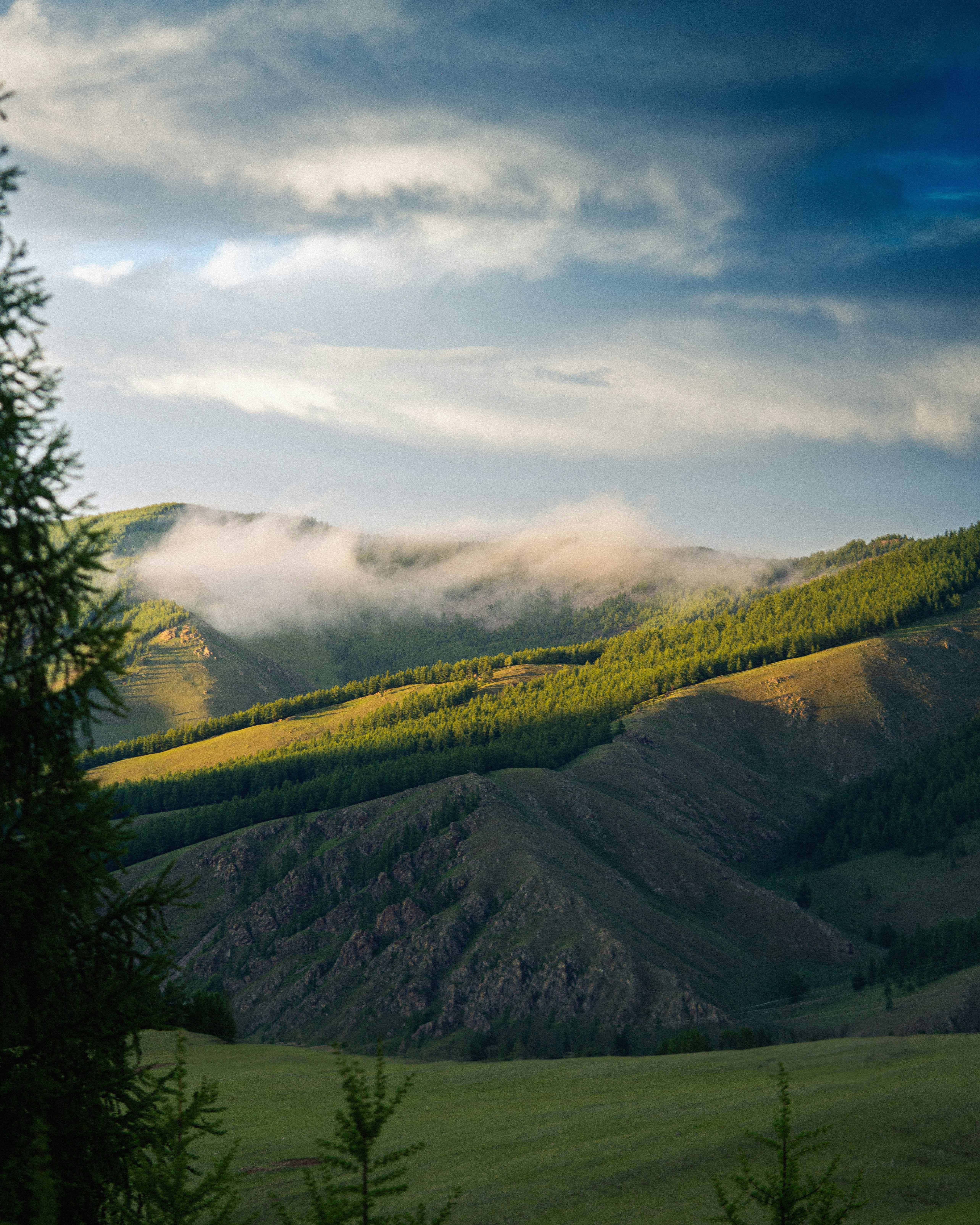 Photo by naranbayar_1