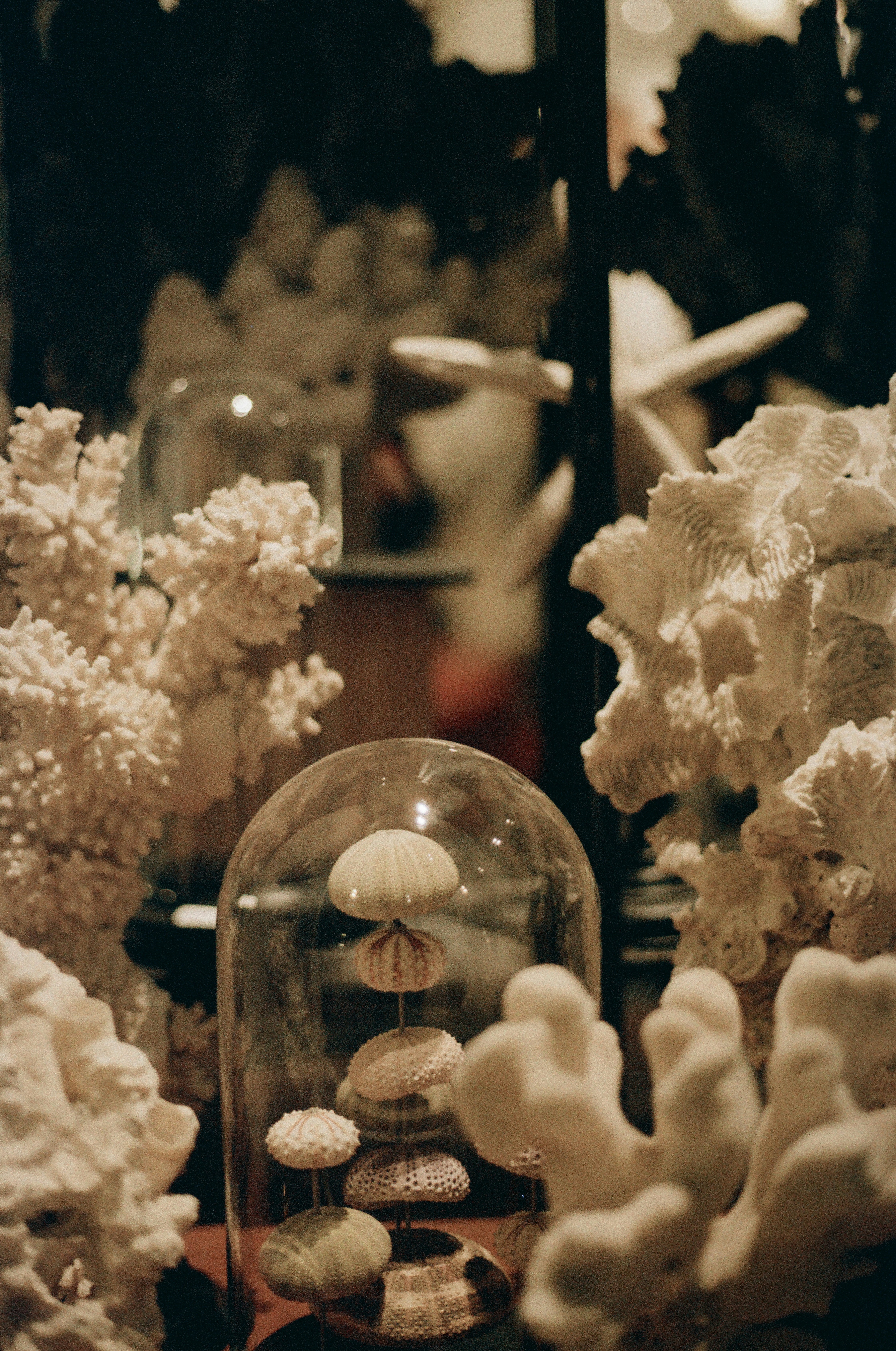 Photo by mineral_of_demon