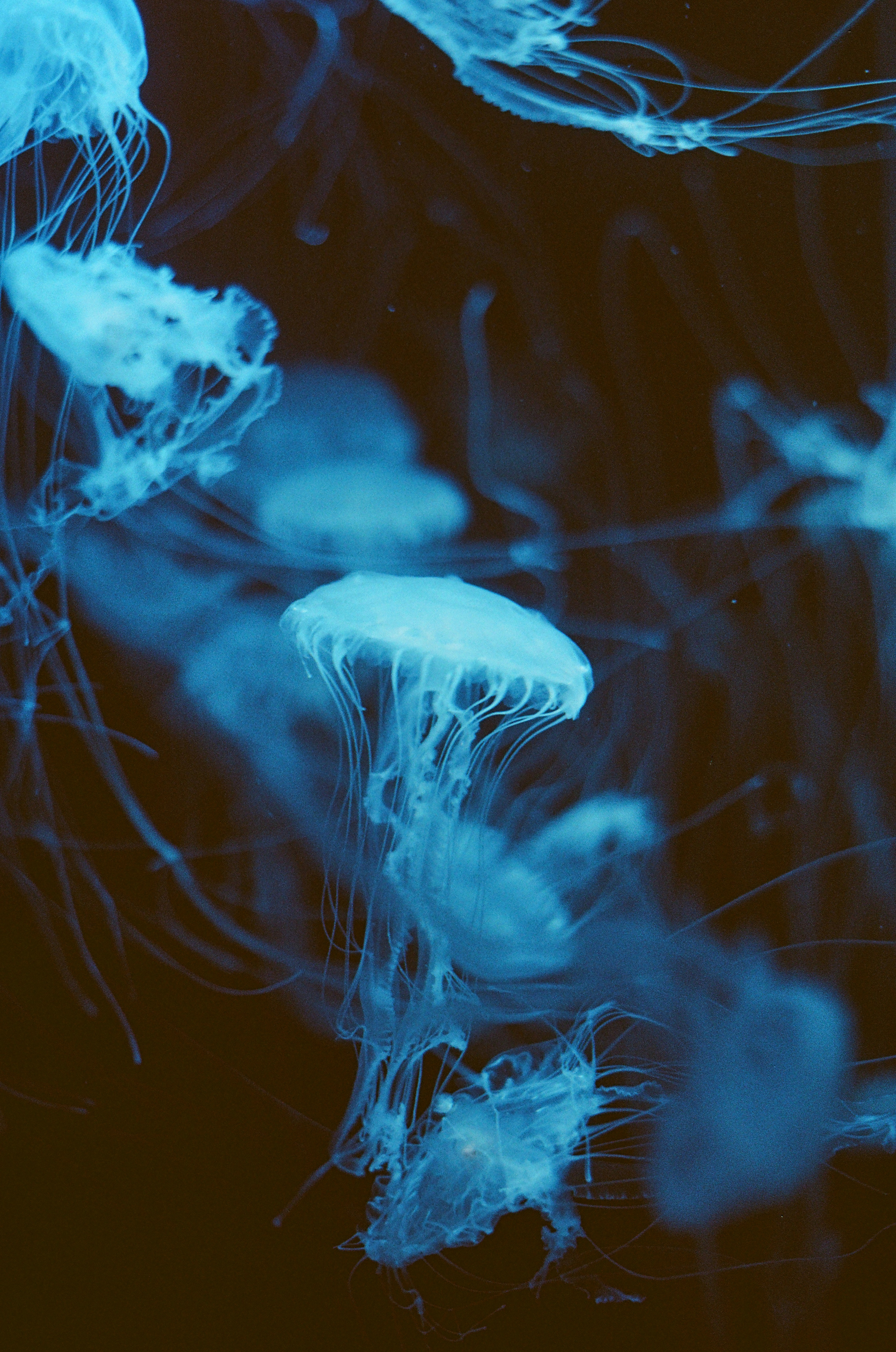 Photo by mineral_of_demon