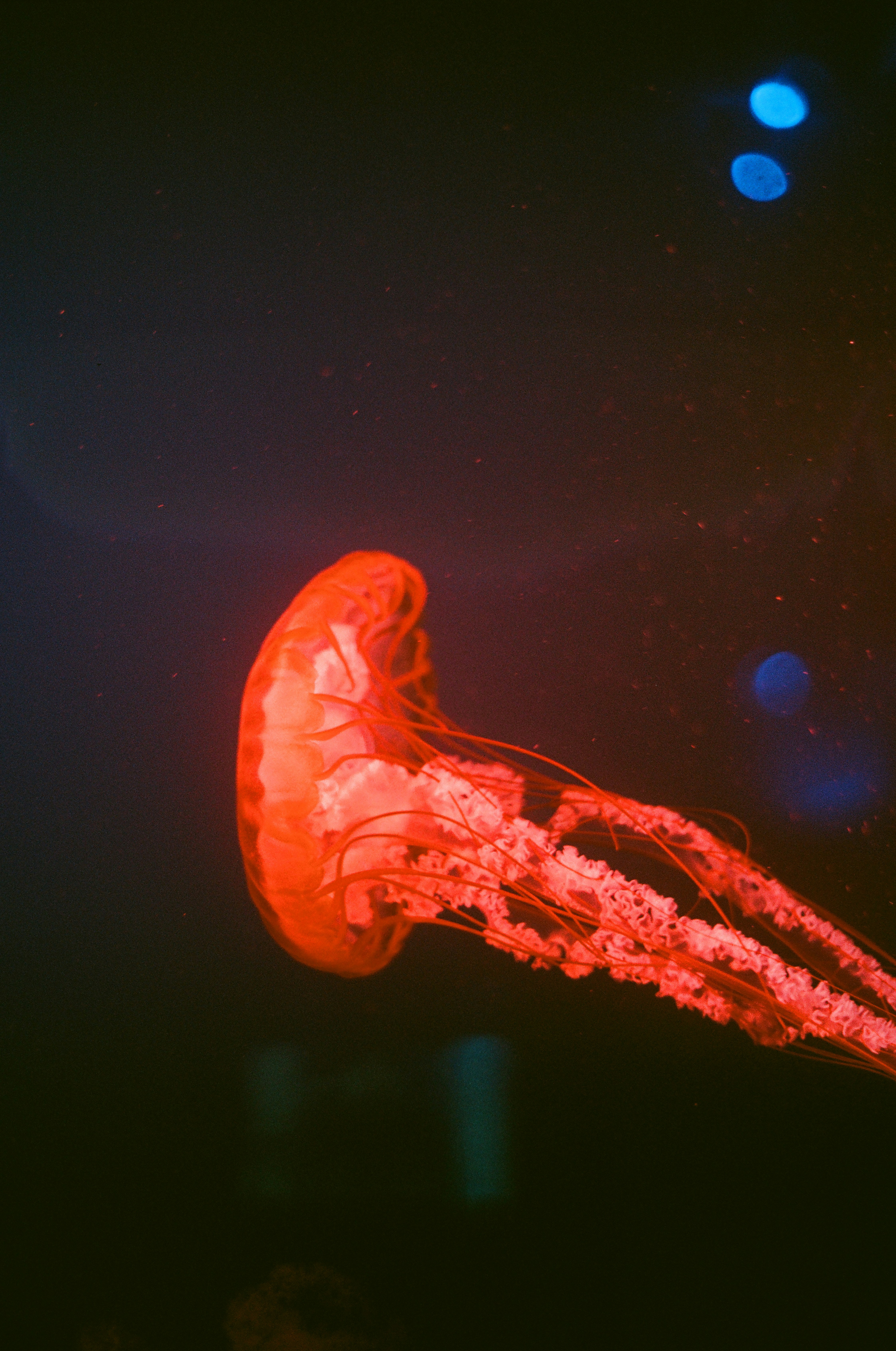 Photo by mineral_of_demon