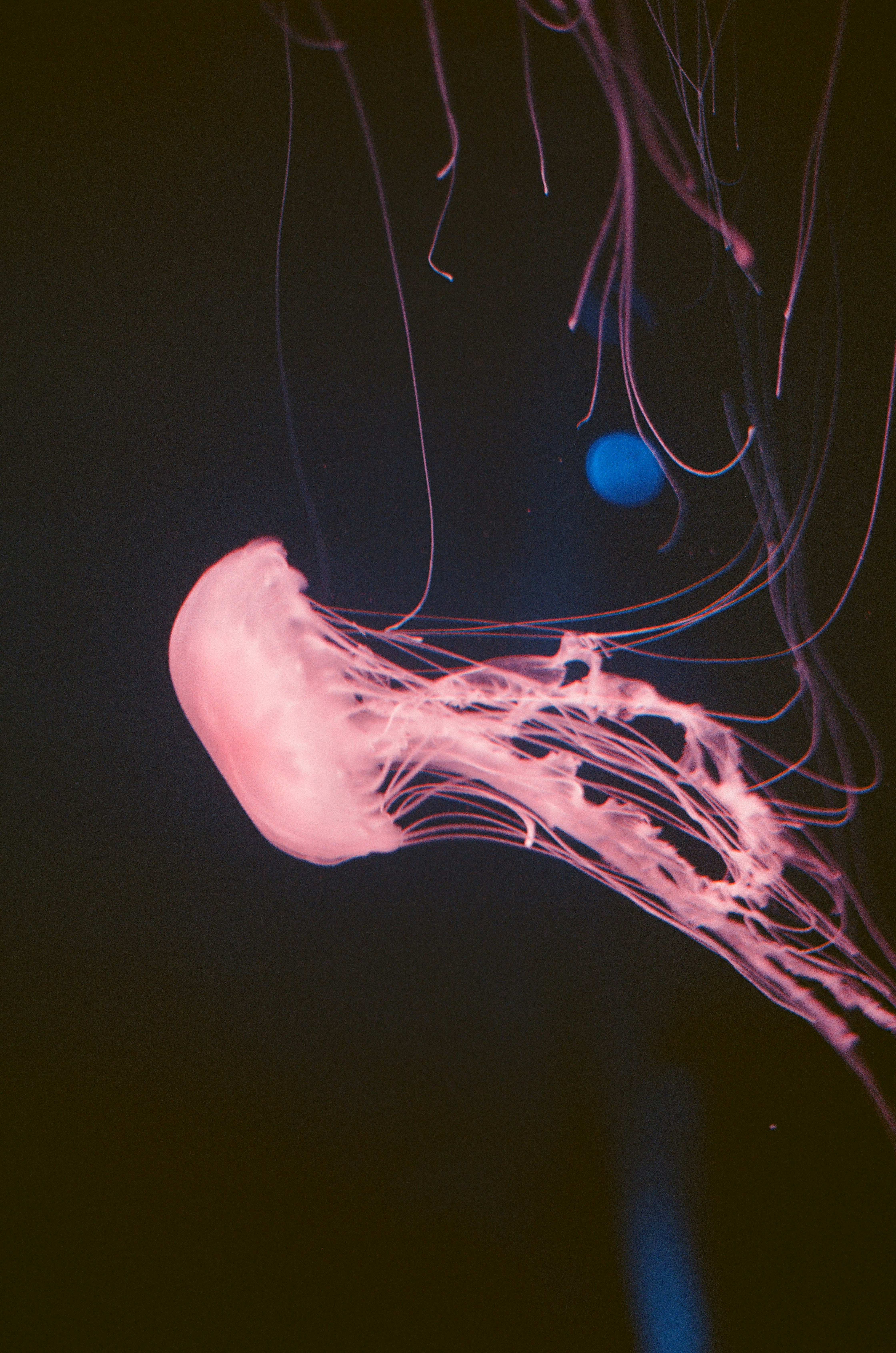 Photo by mineral_of_demon