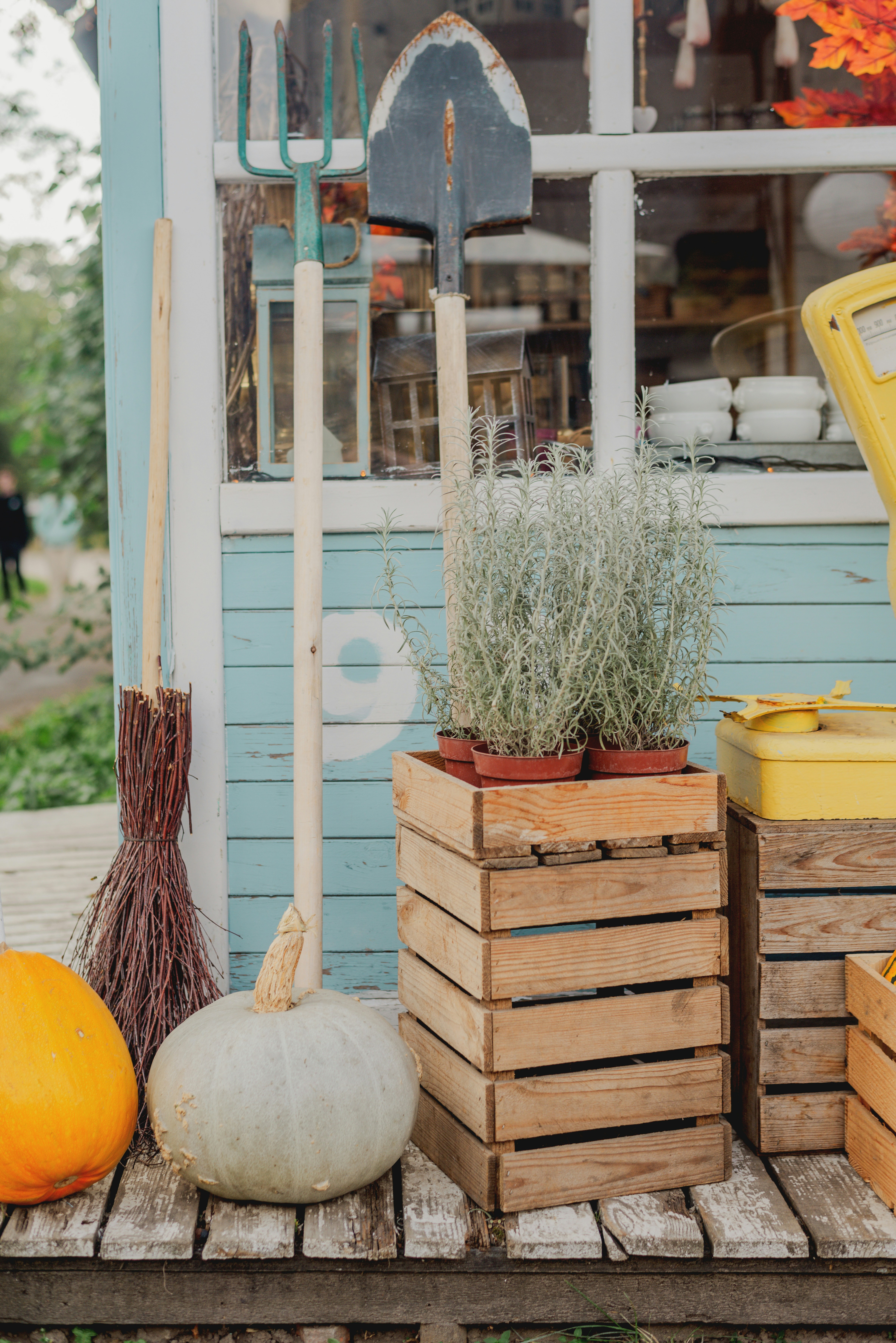 Photo by eugenivy_now